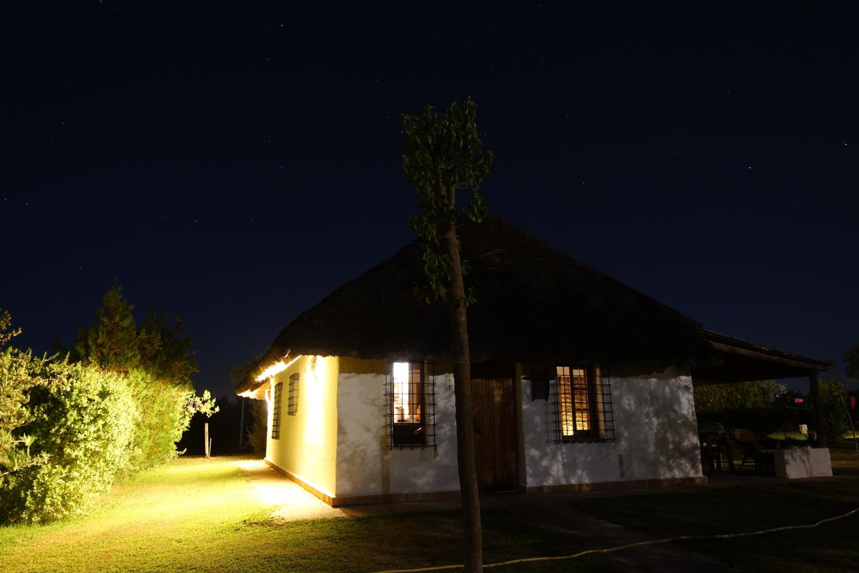Bungalow - Photo 7
