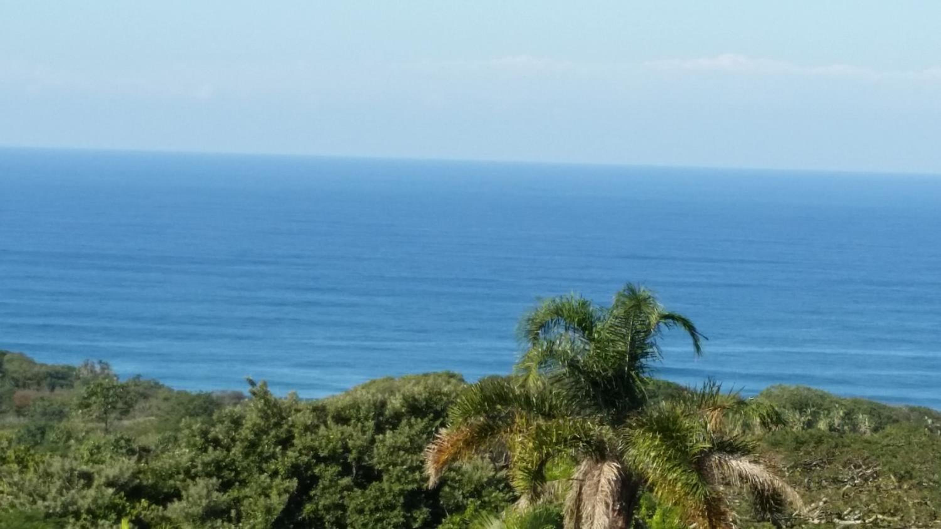 Apartment with Sea View photo 1