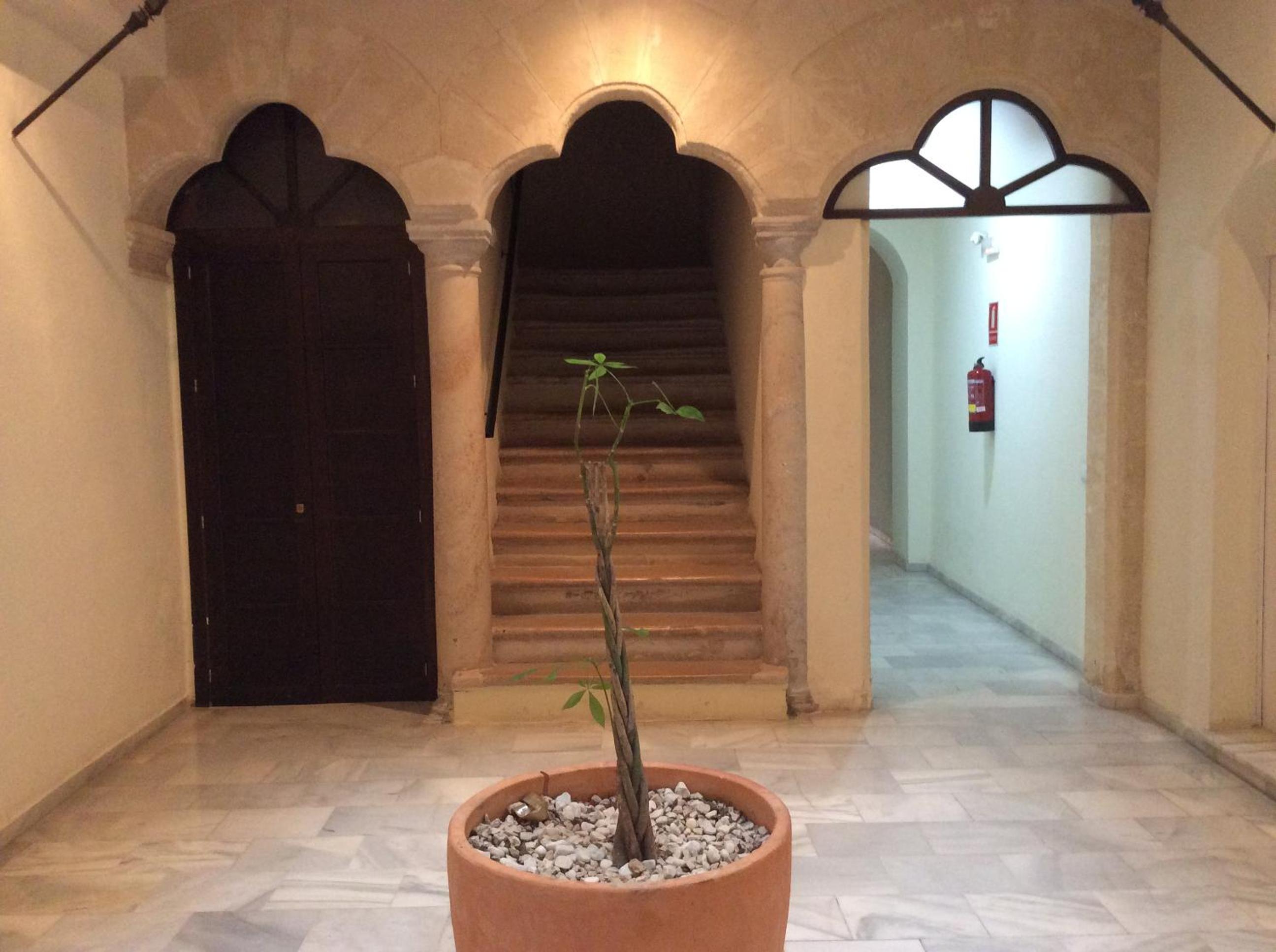 Superior Apartment - Photo 4