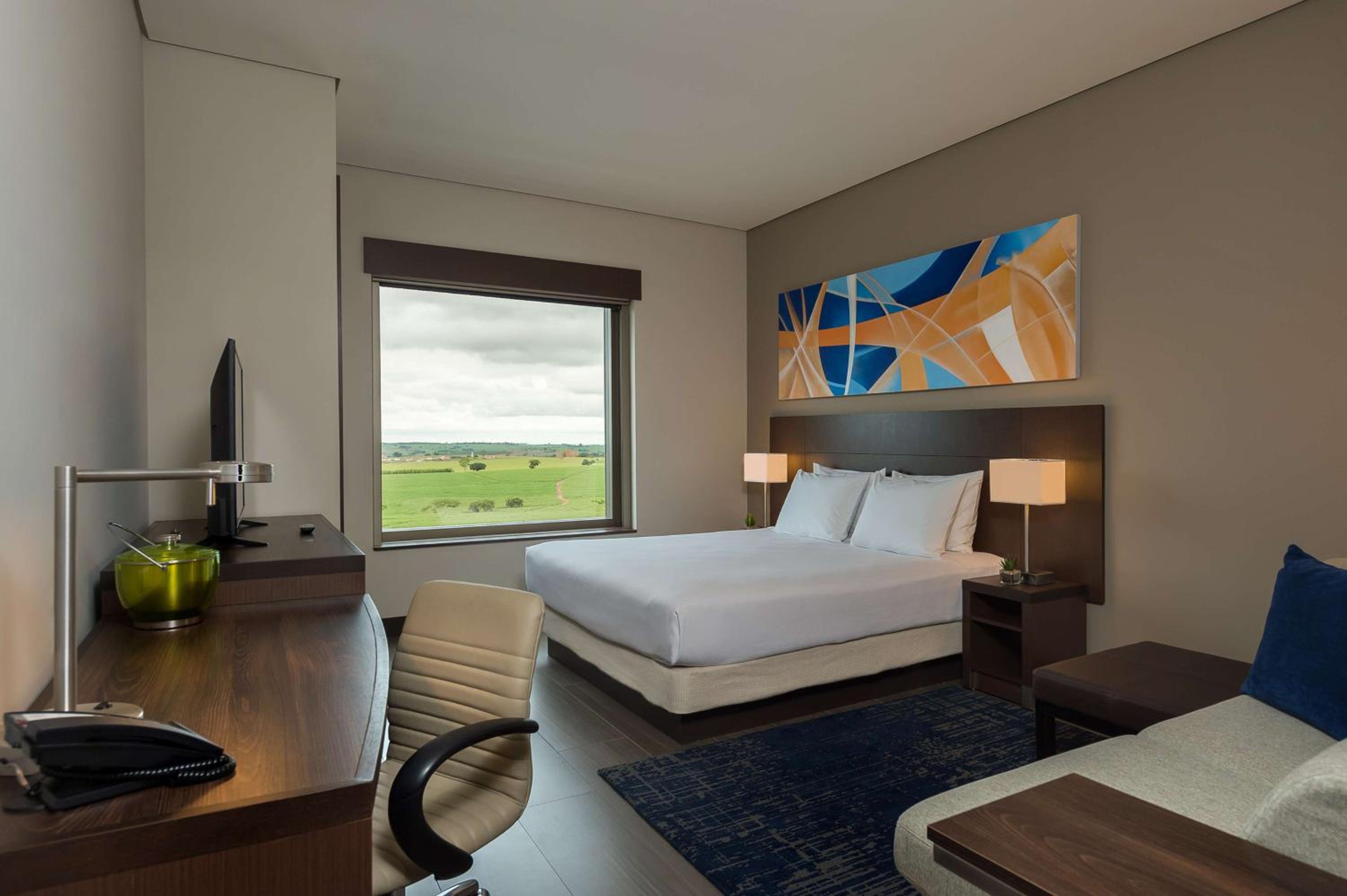 King Room with View