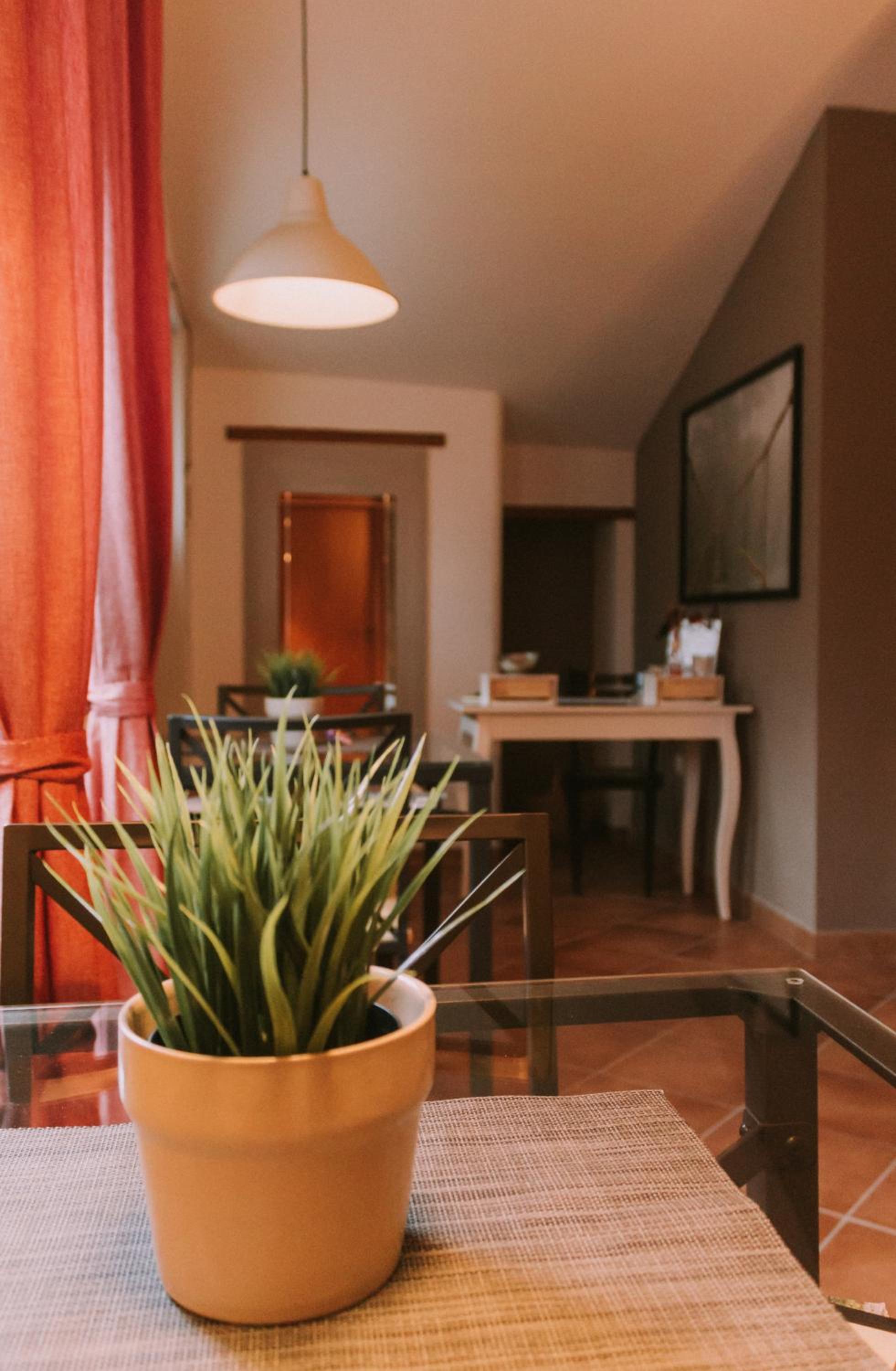 Family Suite - Photo 14