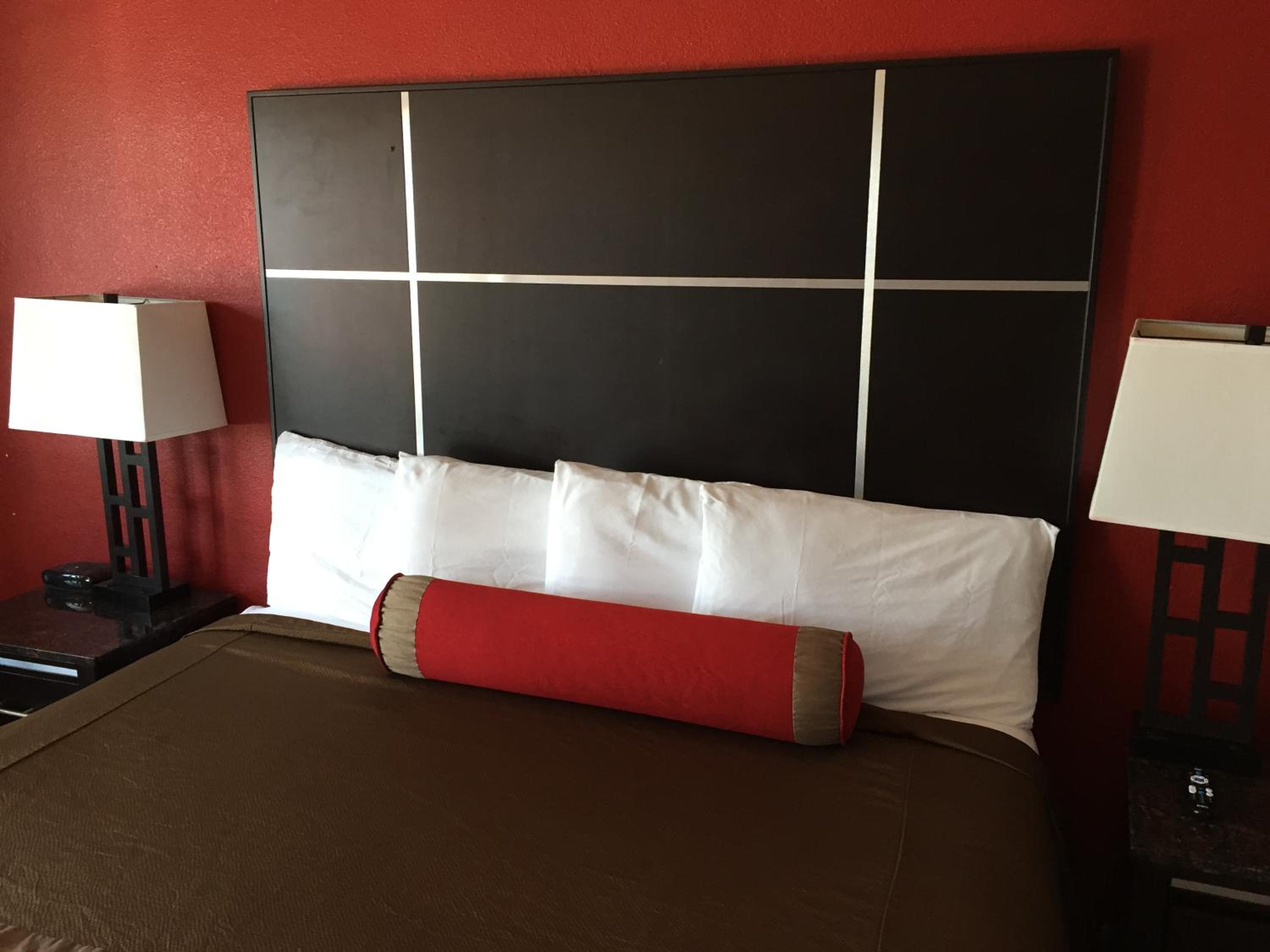 King Room photo 1