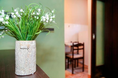 Studio Apartment - Photo 1