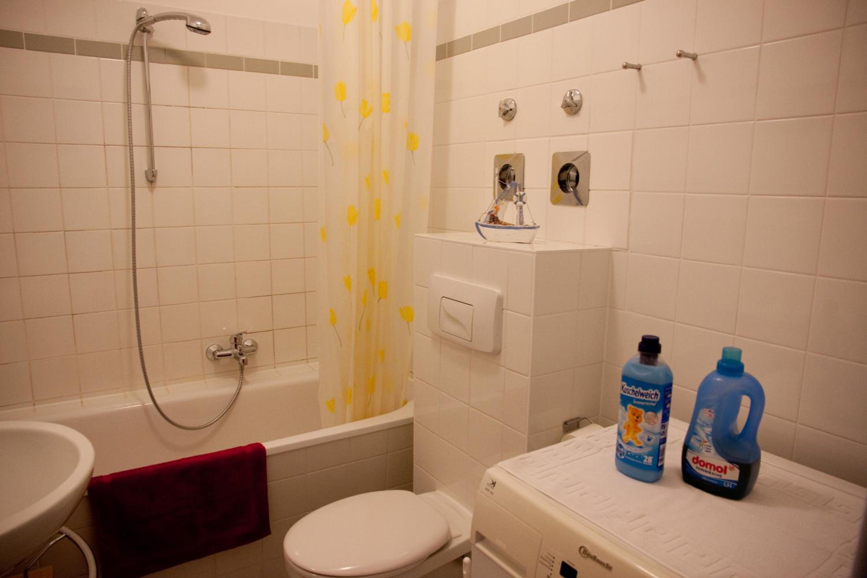 Standard One-Bedroom Apartment photo 3
