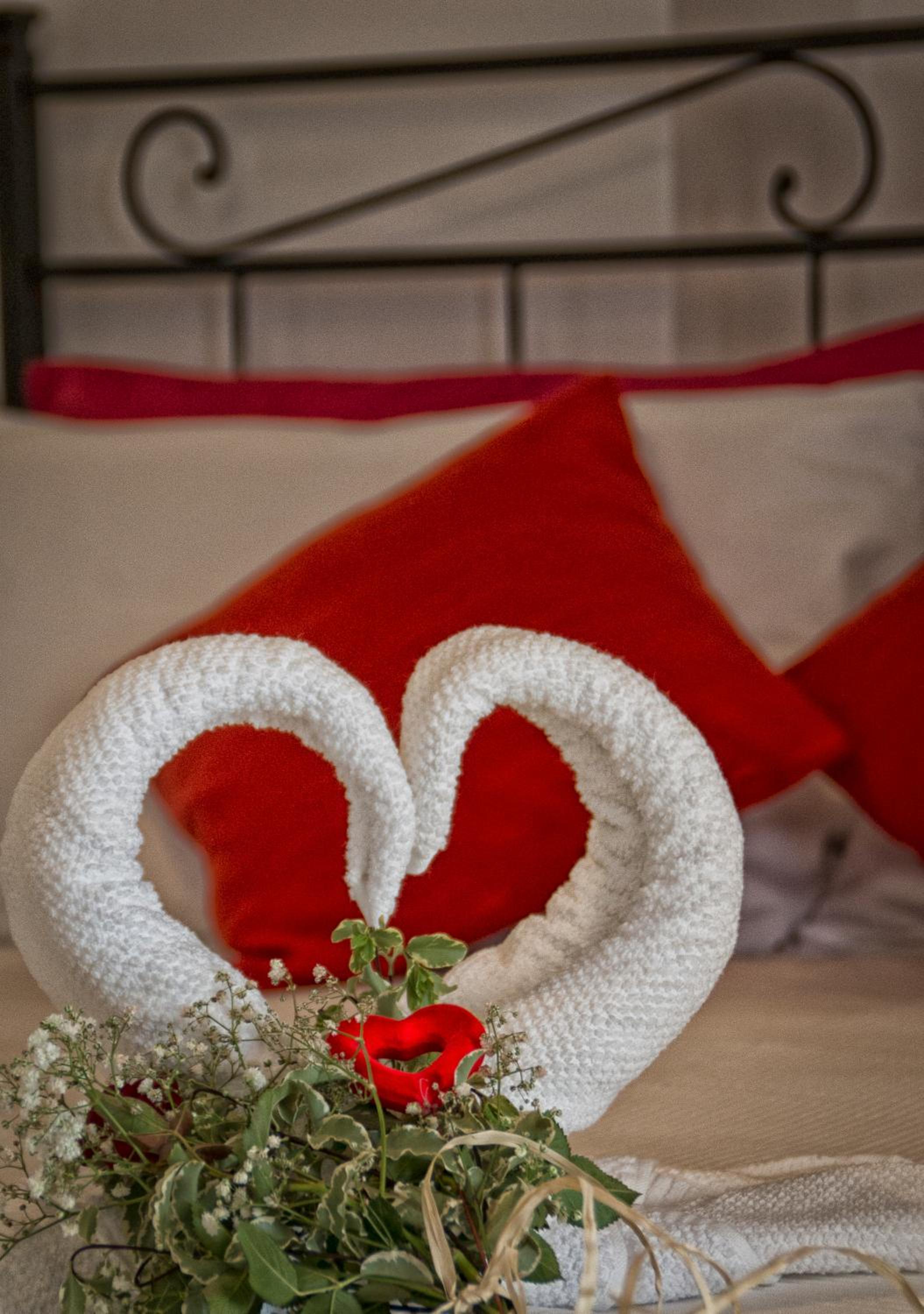 Junior Suite with Terrace