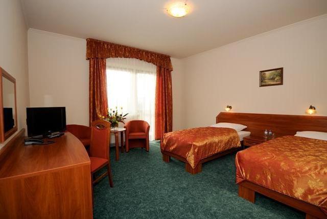 Twin Room photo 3