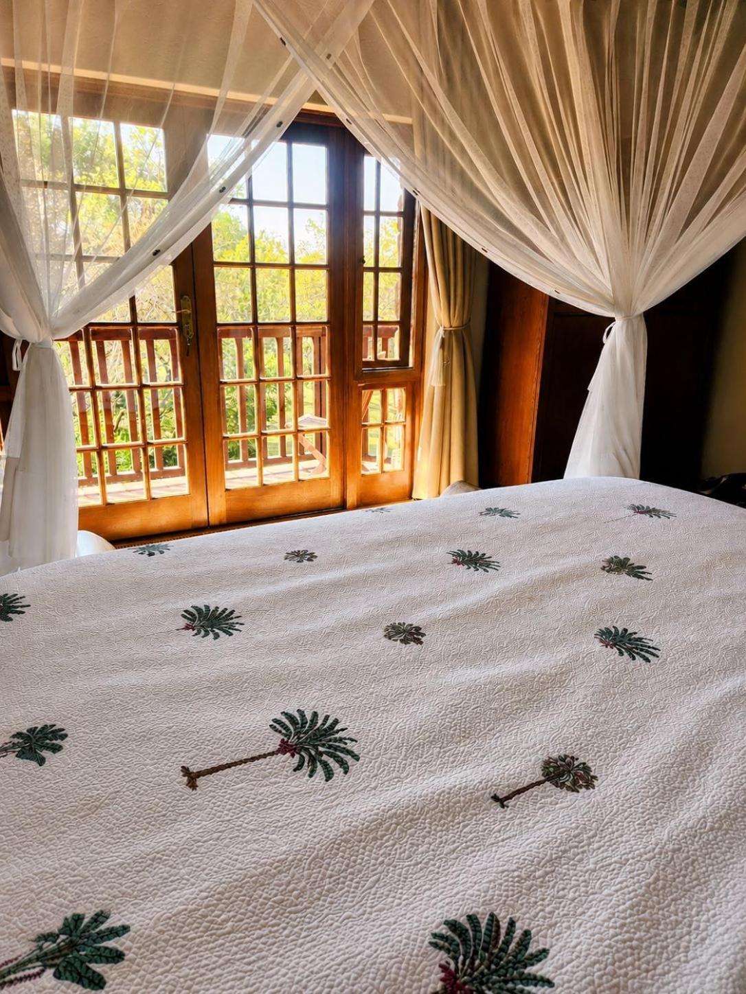 Superior Double Room photo 1