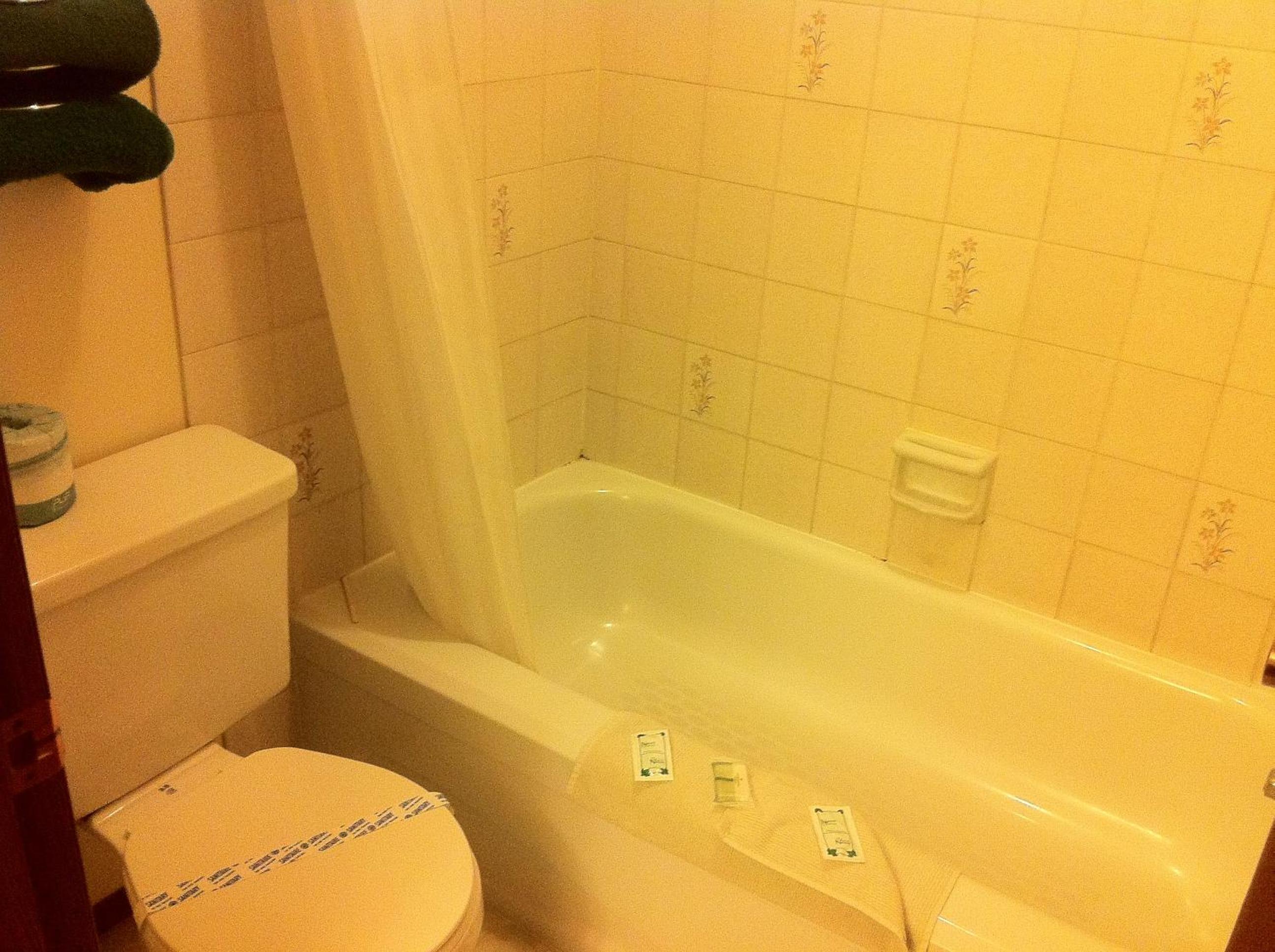 Single Room photo 2