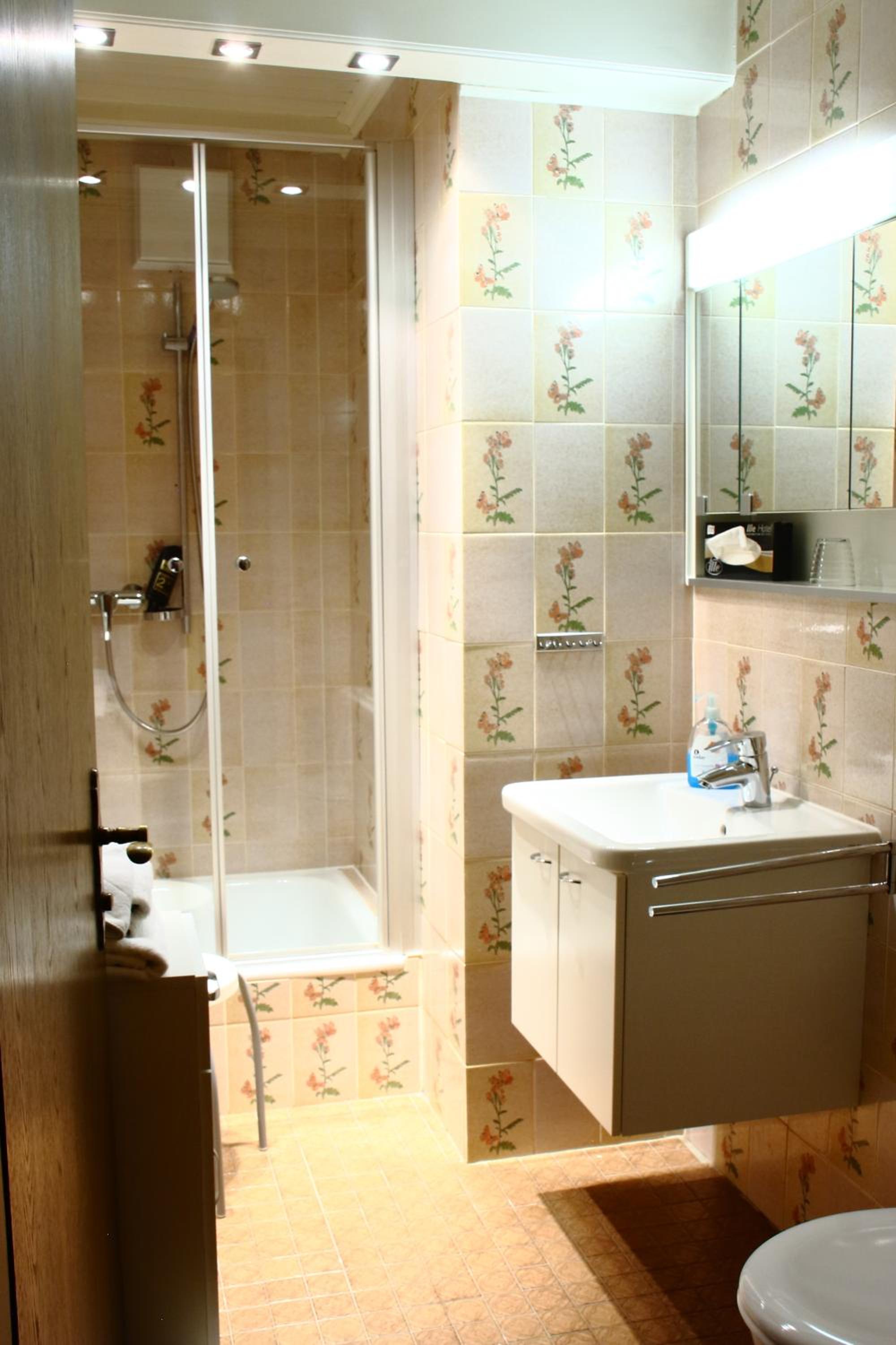 Large Single Room photo 2
