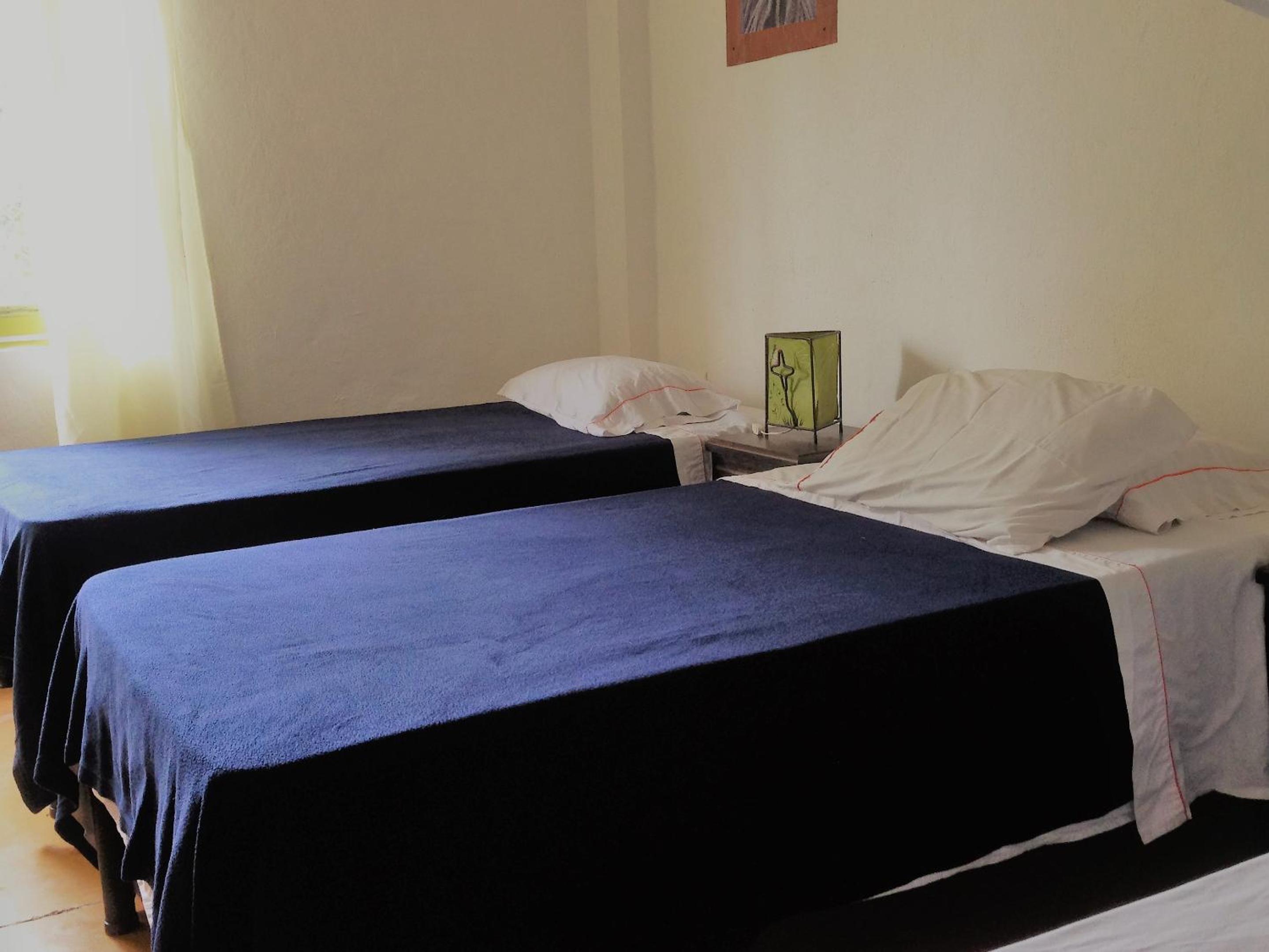 Standard Twin Room photo 2