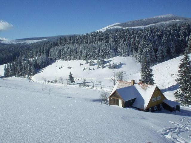 Chalet photo 1