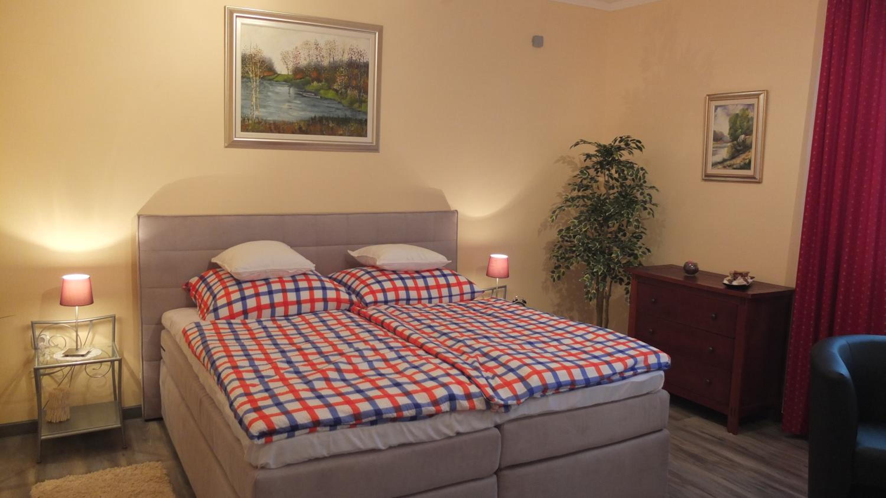 Deluxe Double Room photo 3