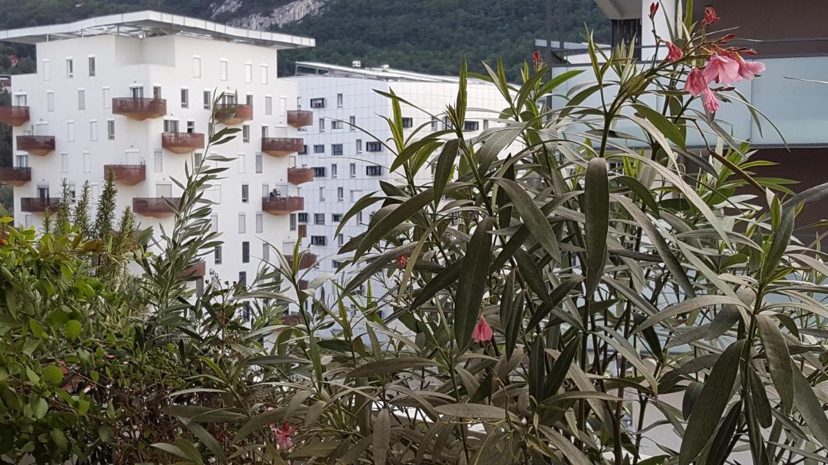 Apartment with Terrace photo 3