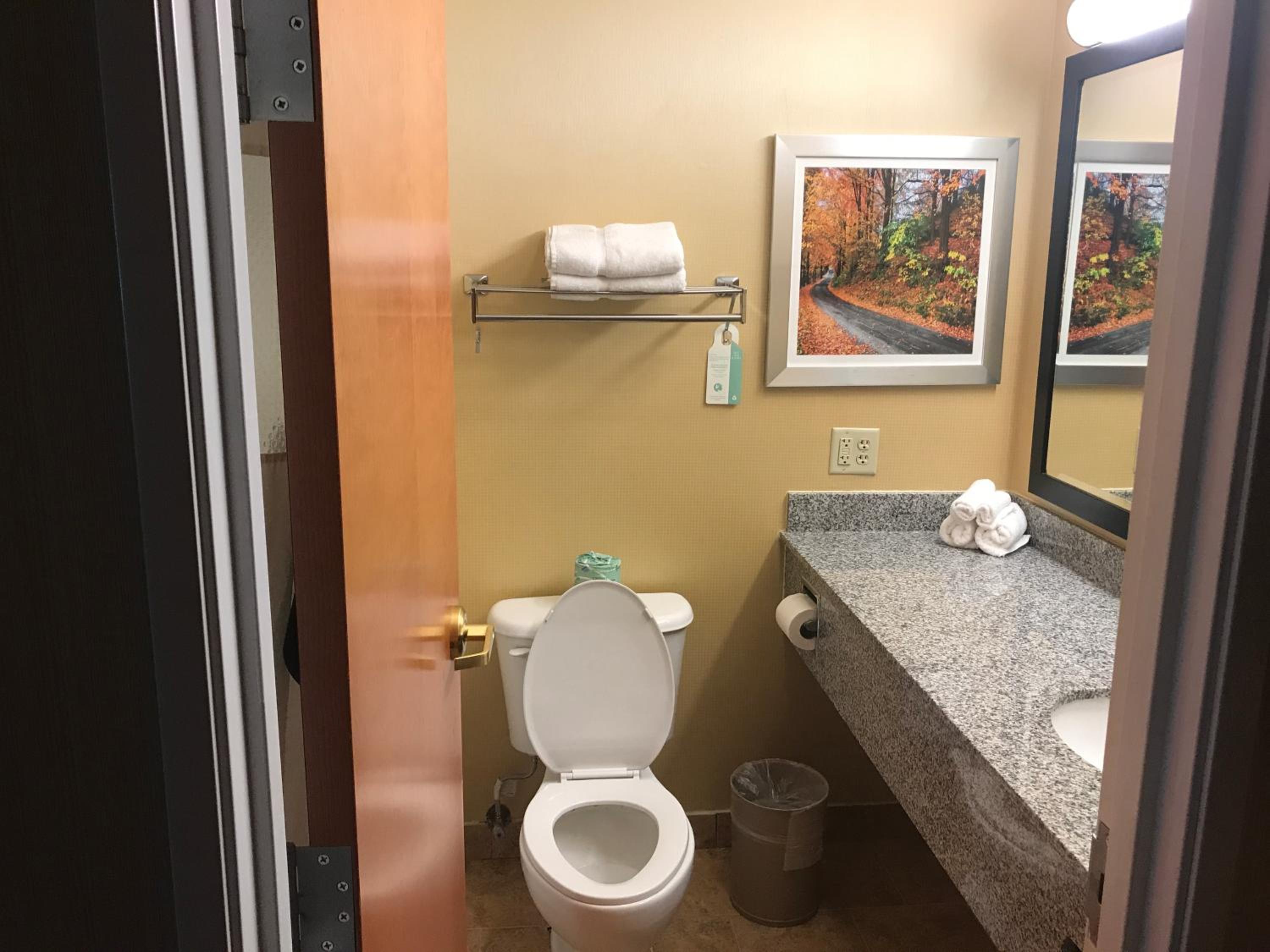 King Room - Non-Smoking - Photo 4