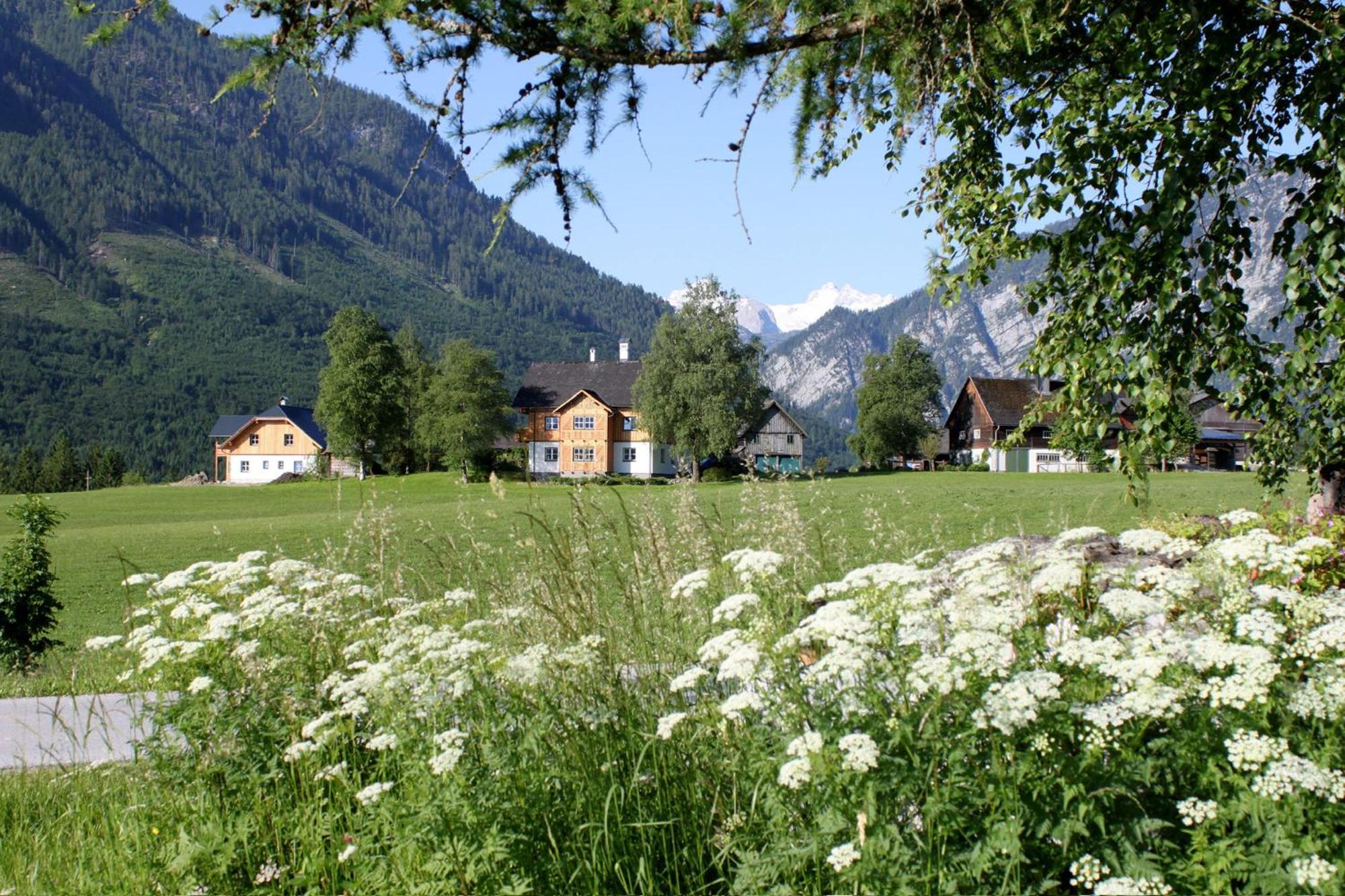 Apartment with Mountain View