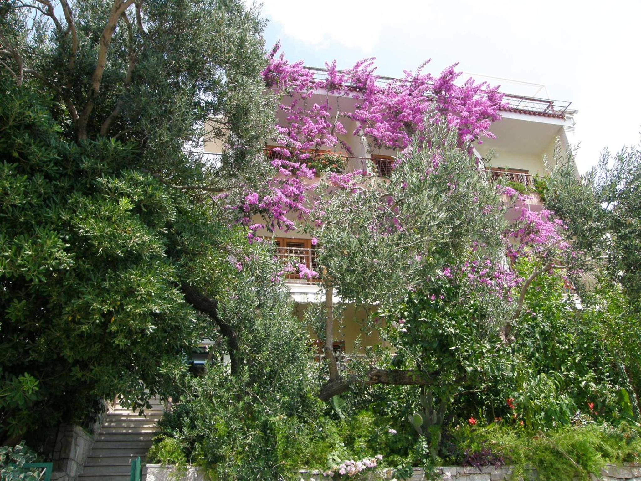 Apartment with Sea View photo 3
