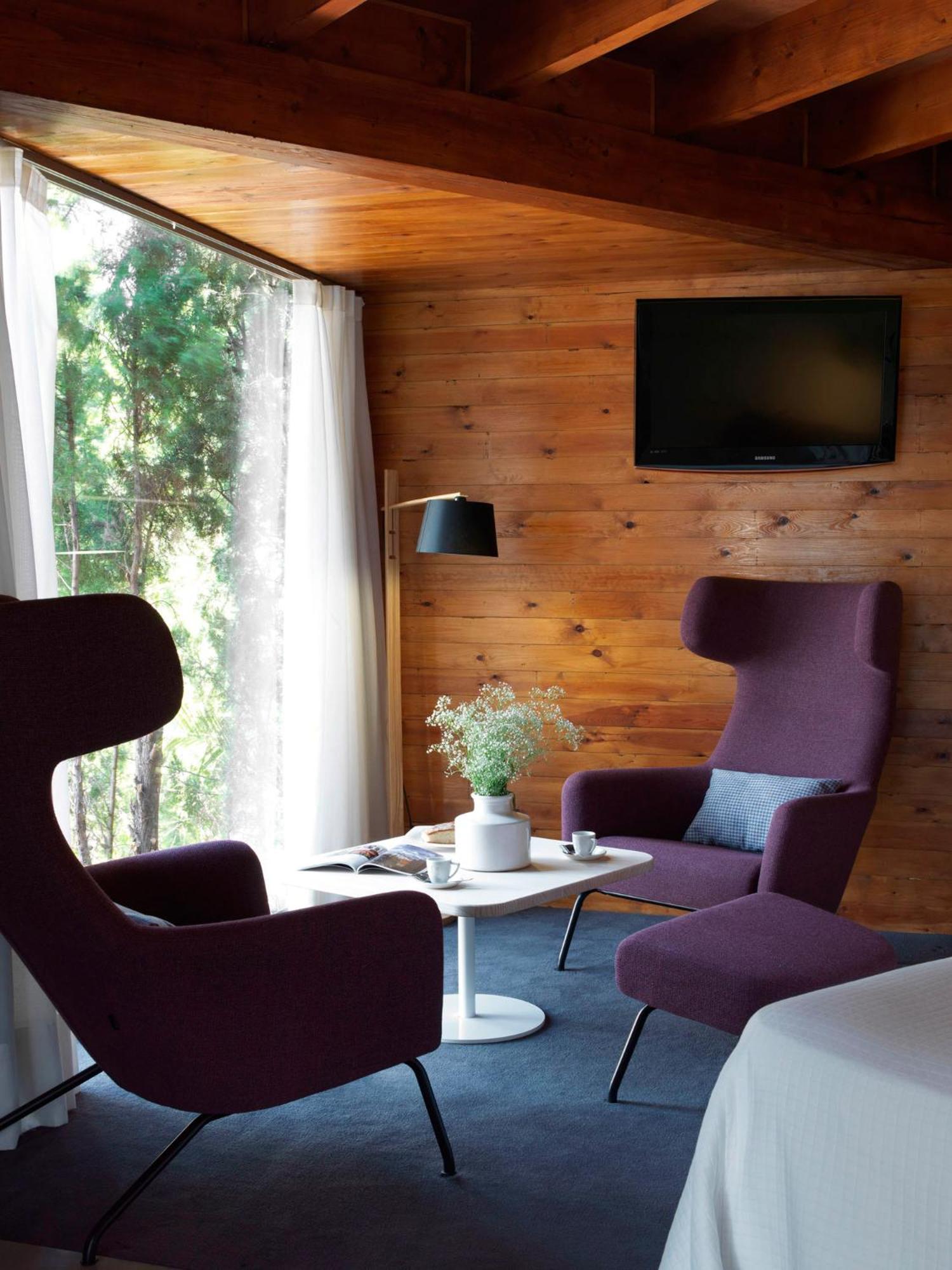 Suite Junior con Terraza