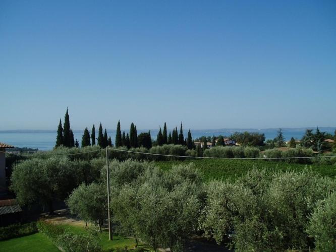 Double or Twin Room with Garden View photo 3