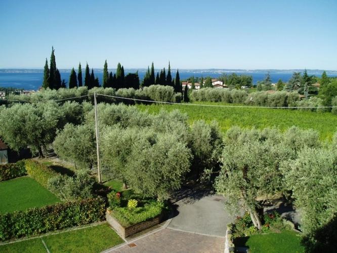 Superior Double or Twin Room with Garden View photo 2