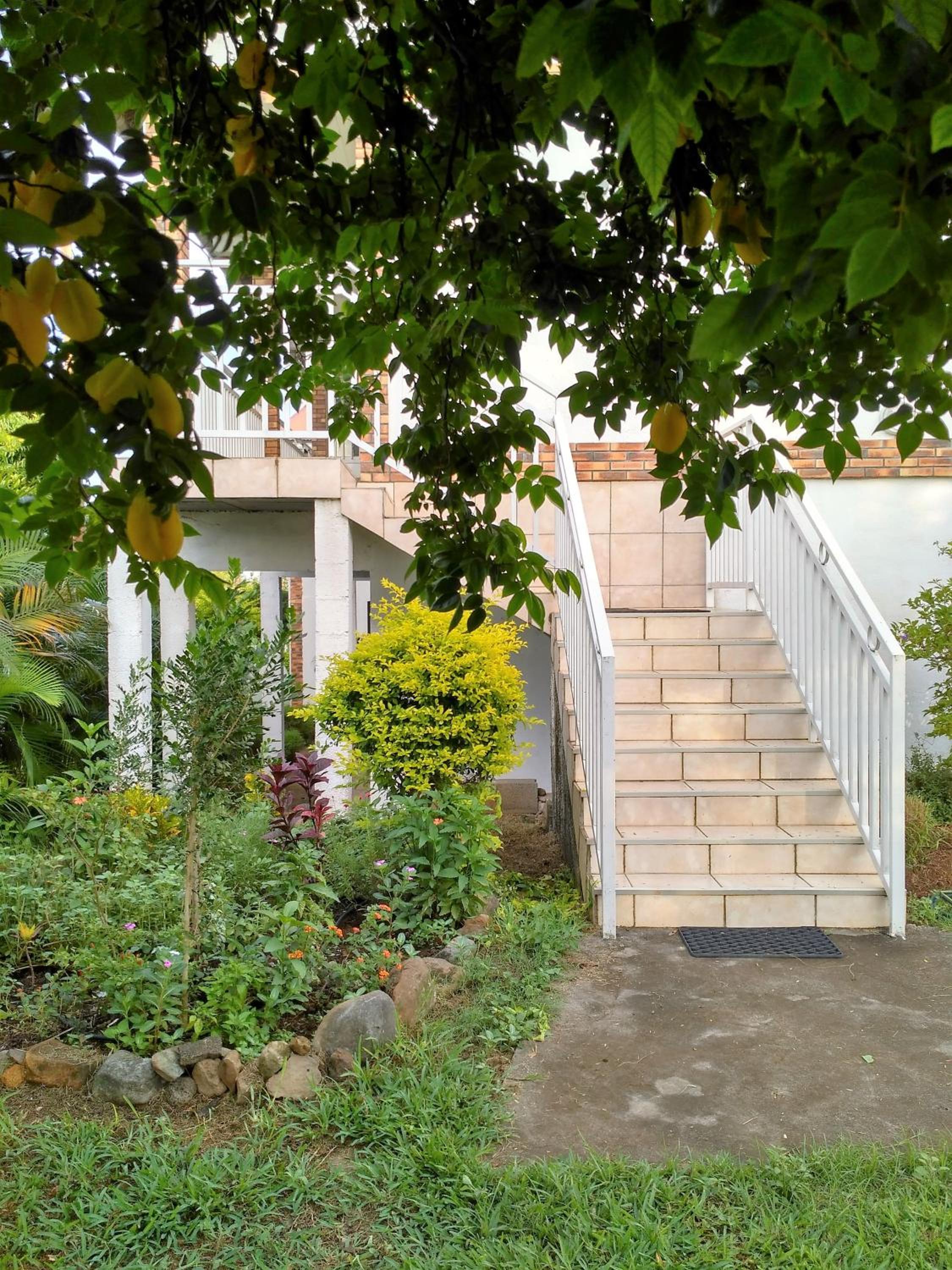 One-Bedroom House photo 3