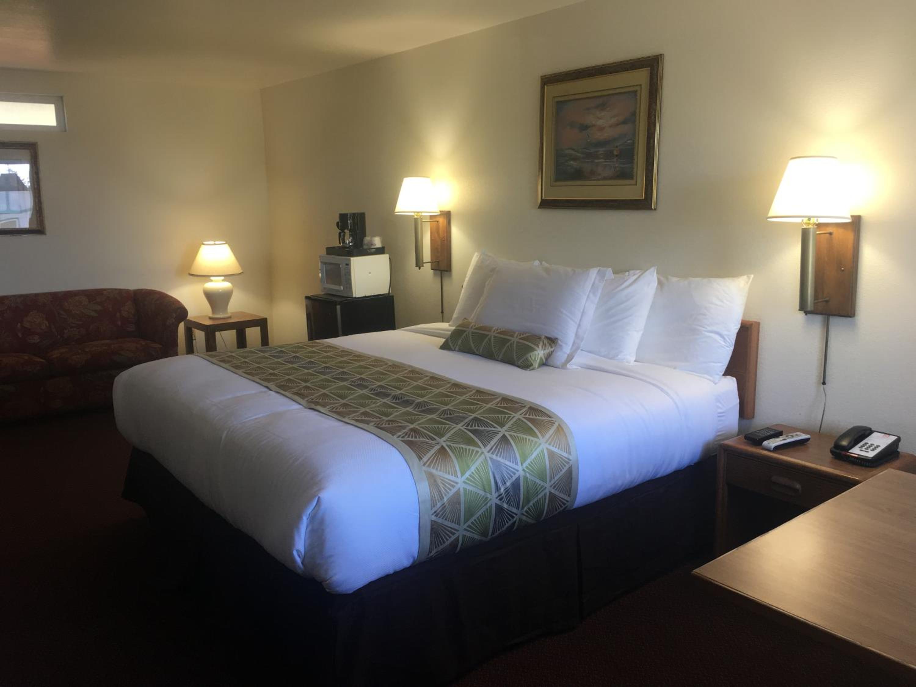 Deluxe King Room - No pets photo 1