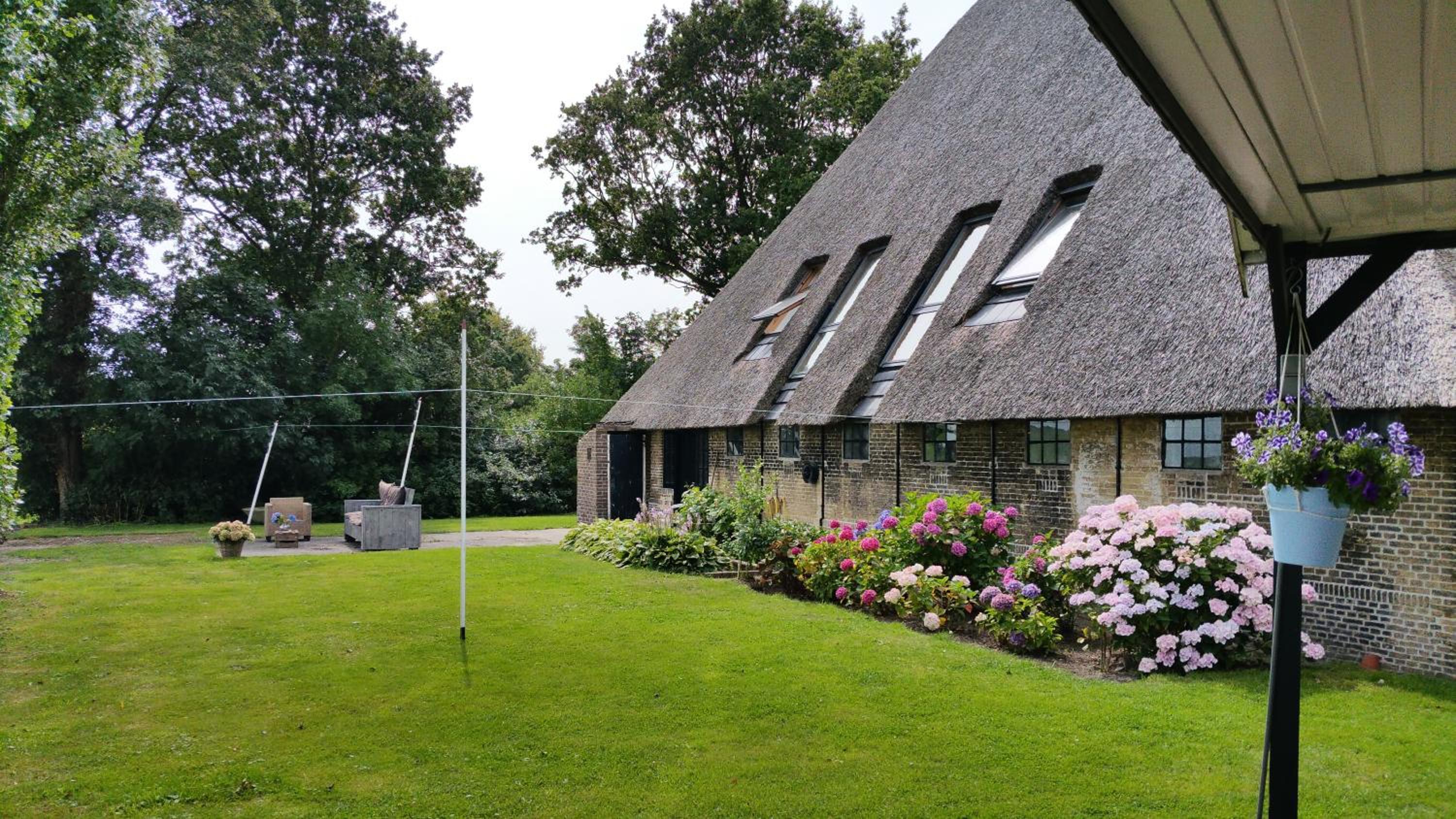 Studio with Garden View photo 2