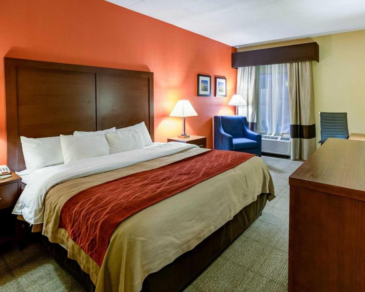 King Room - Non-Smoking - Photo 1