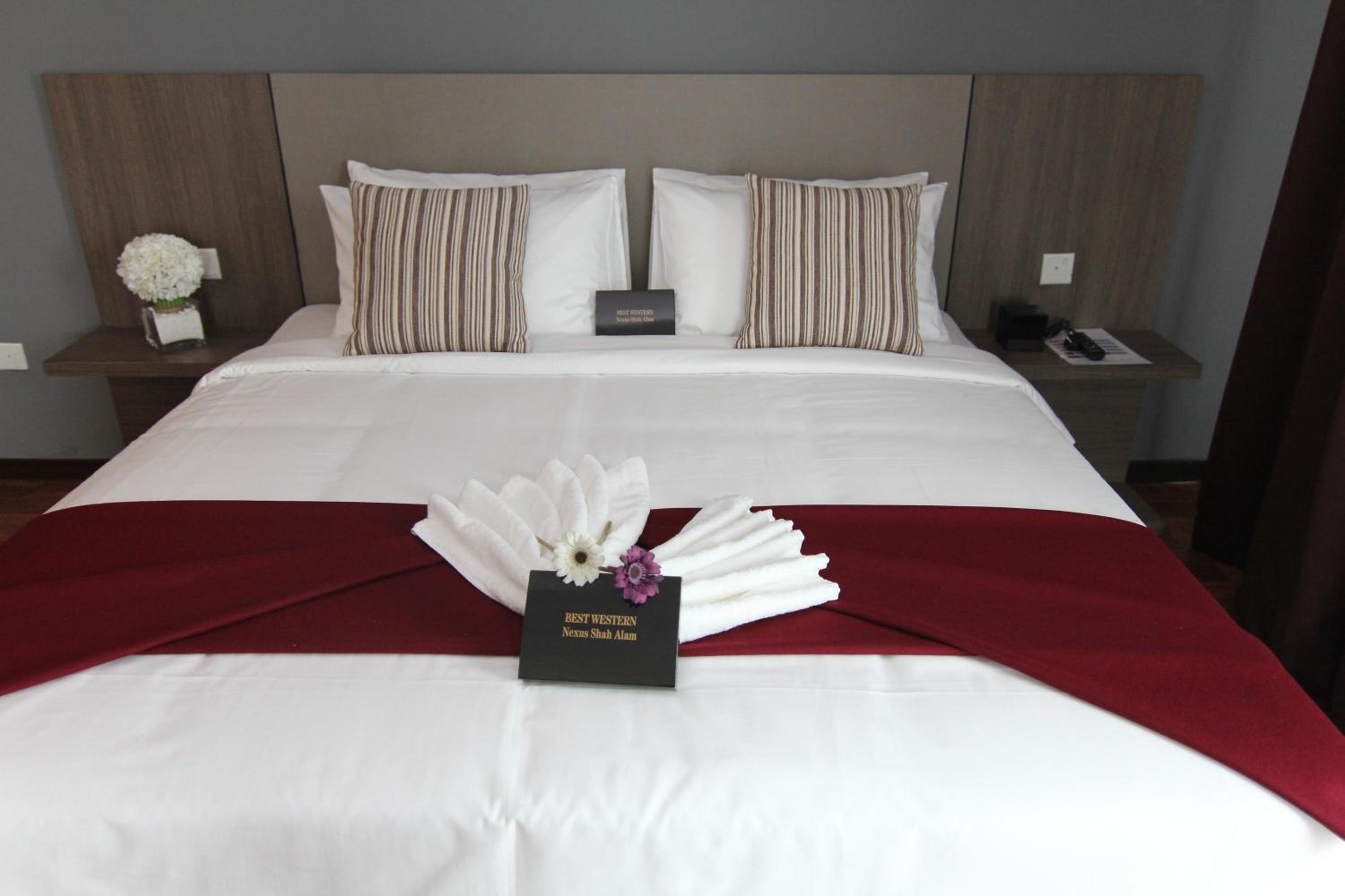 Executive Suite - Photo 15