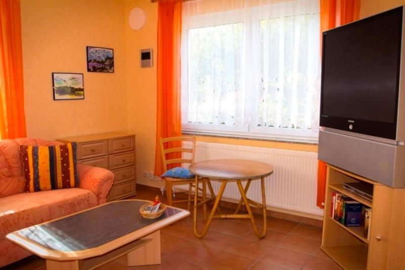 Apartment with Terrace photo 1