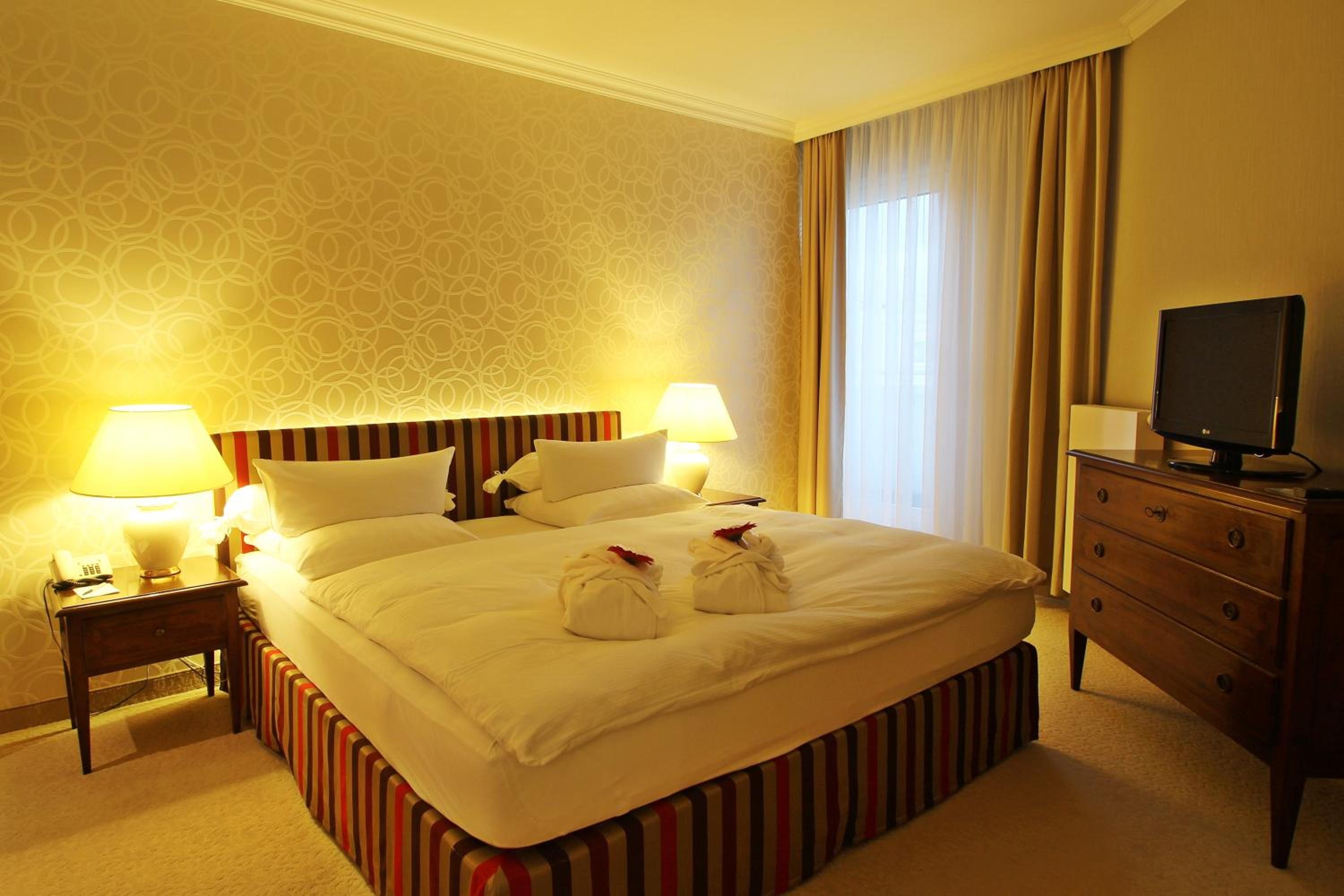 Comfort Suite - Photo 4