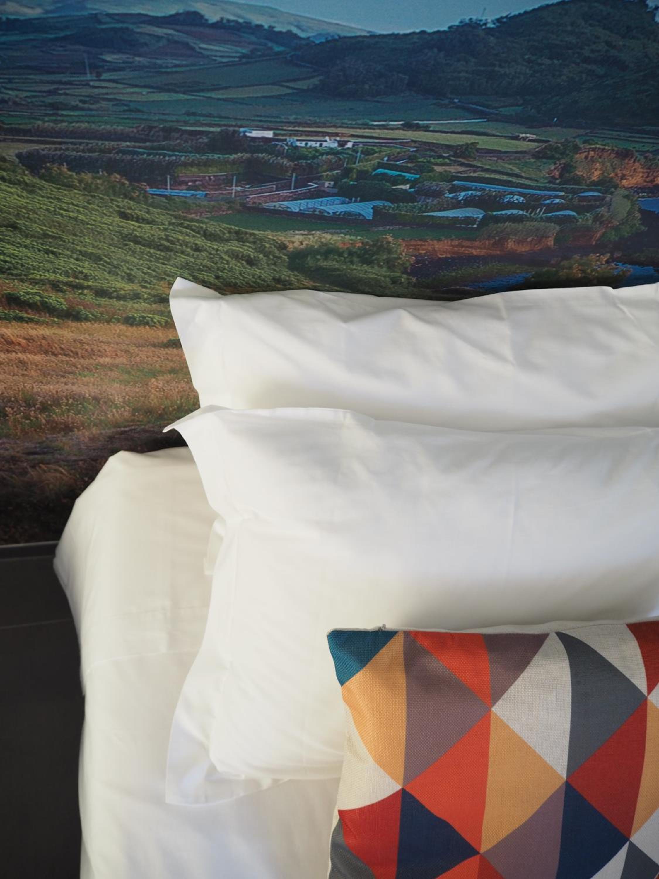 Double or Twin Room photo 2