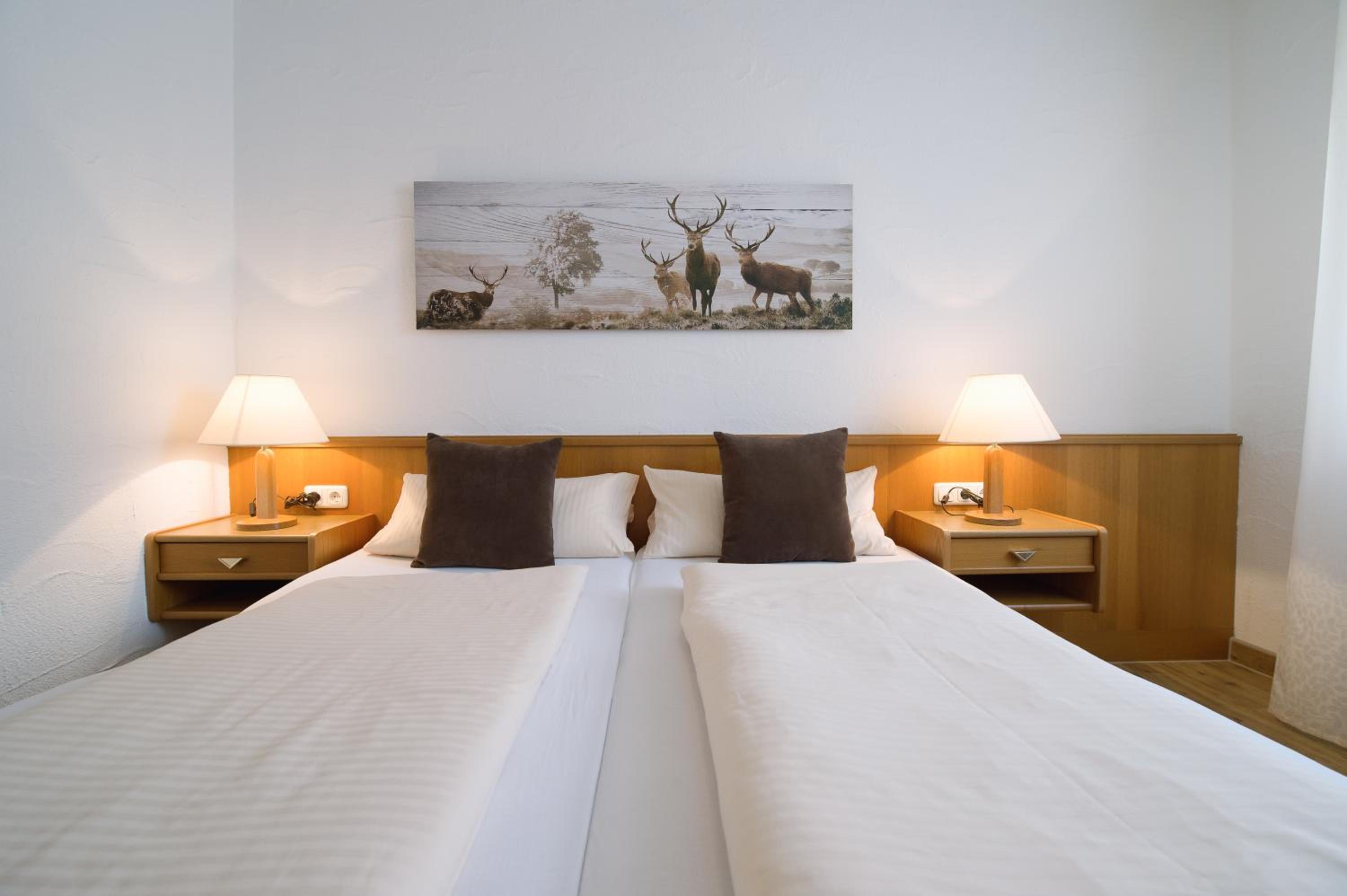 Double Room photo 3