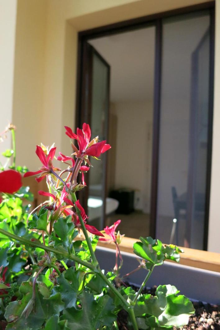Ferme Deviscio, Photo 7