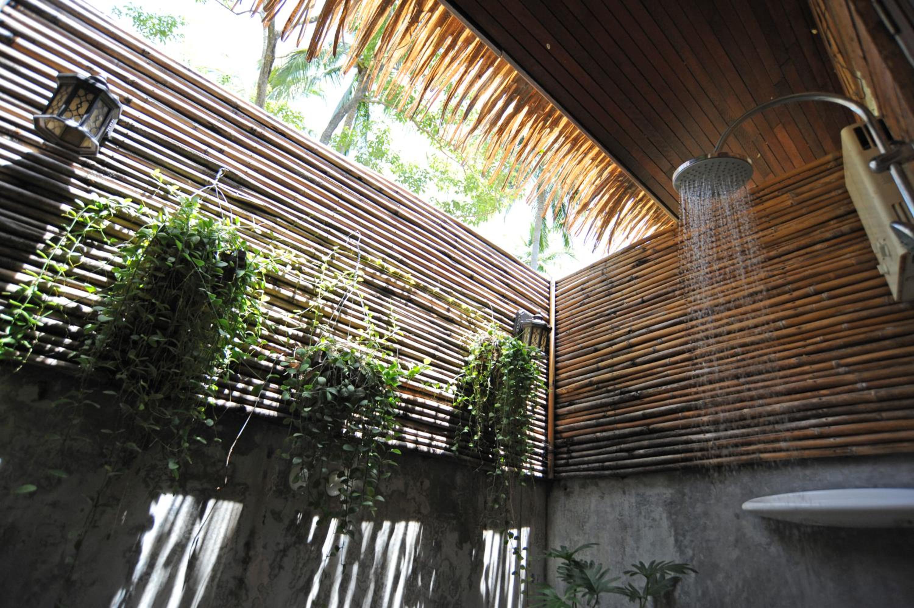 Deluxe Jungle Lodge  photo 3