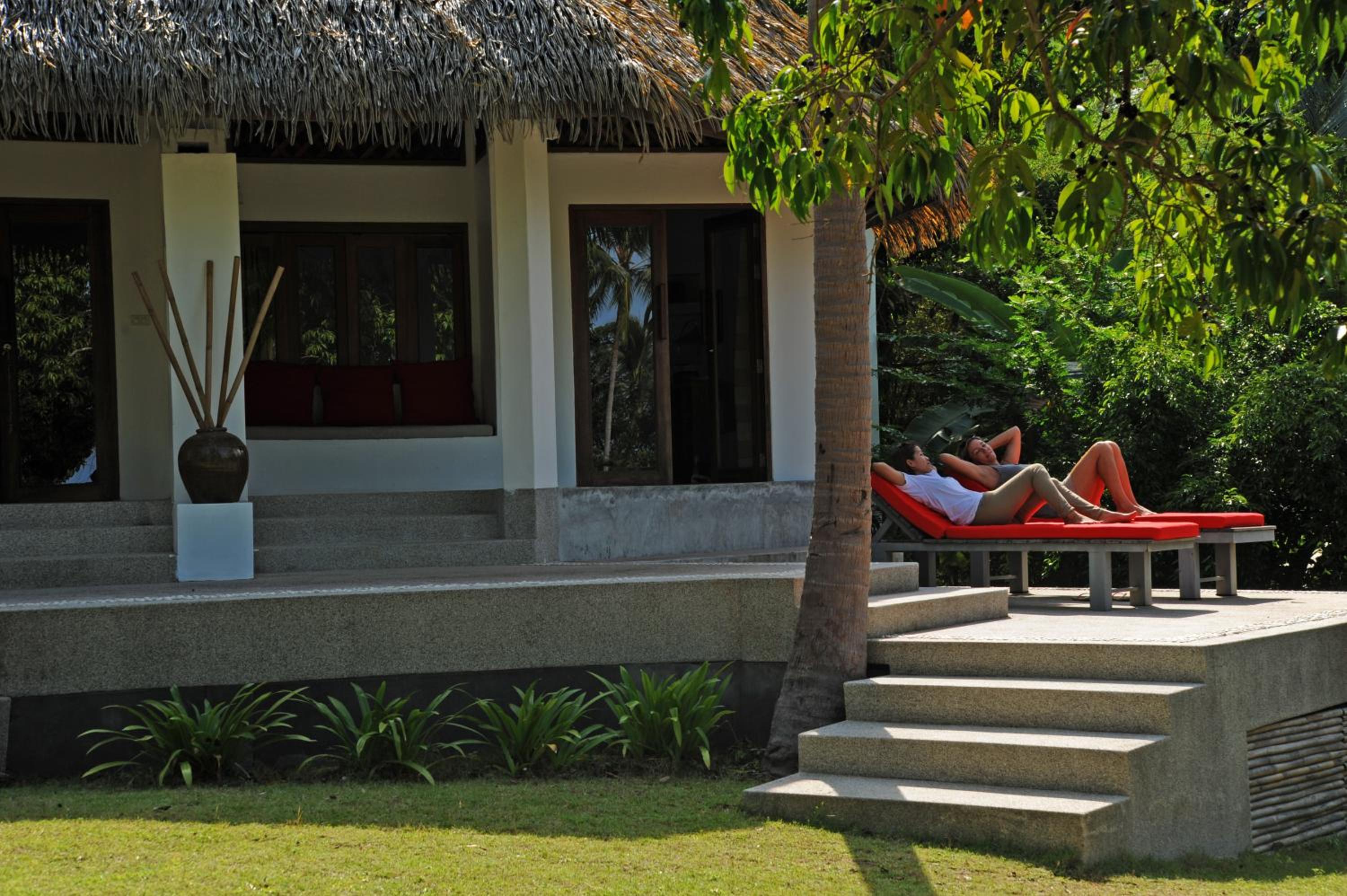 The Jungle House  photo 2