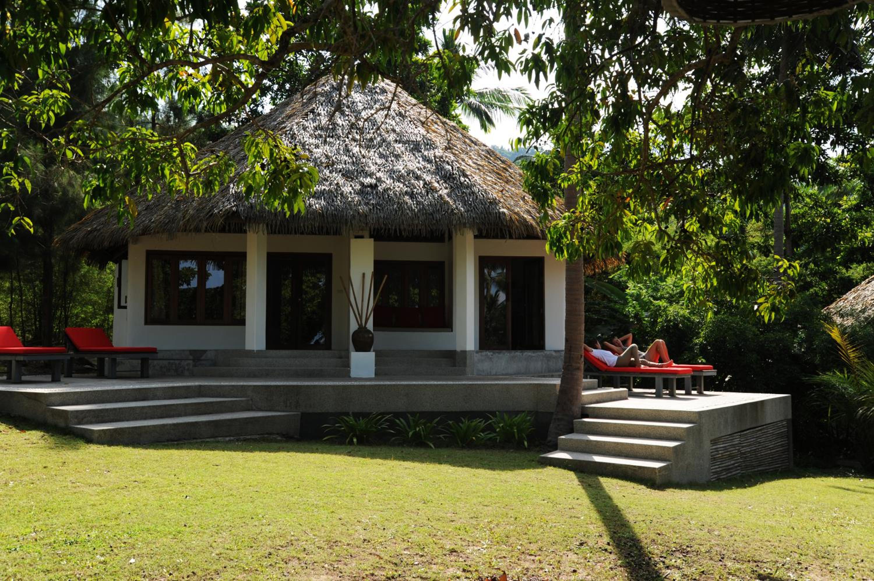 The Jungle House  photo 3