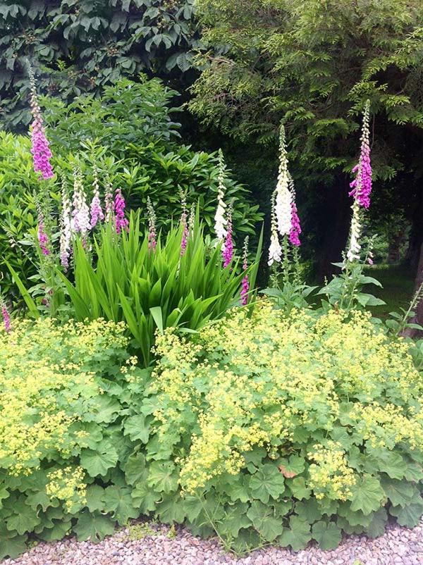 Holiday Home photo 1