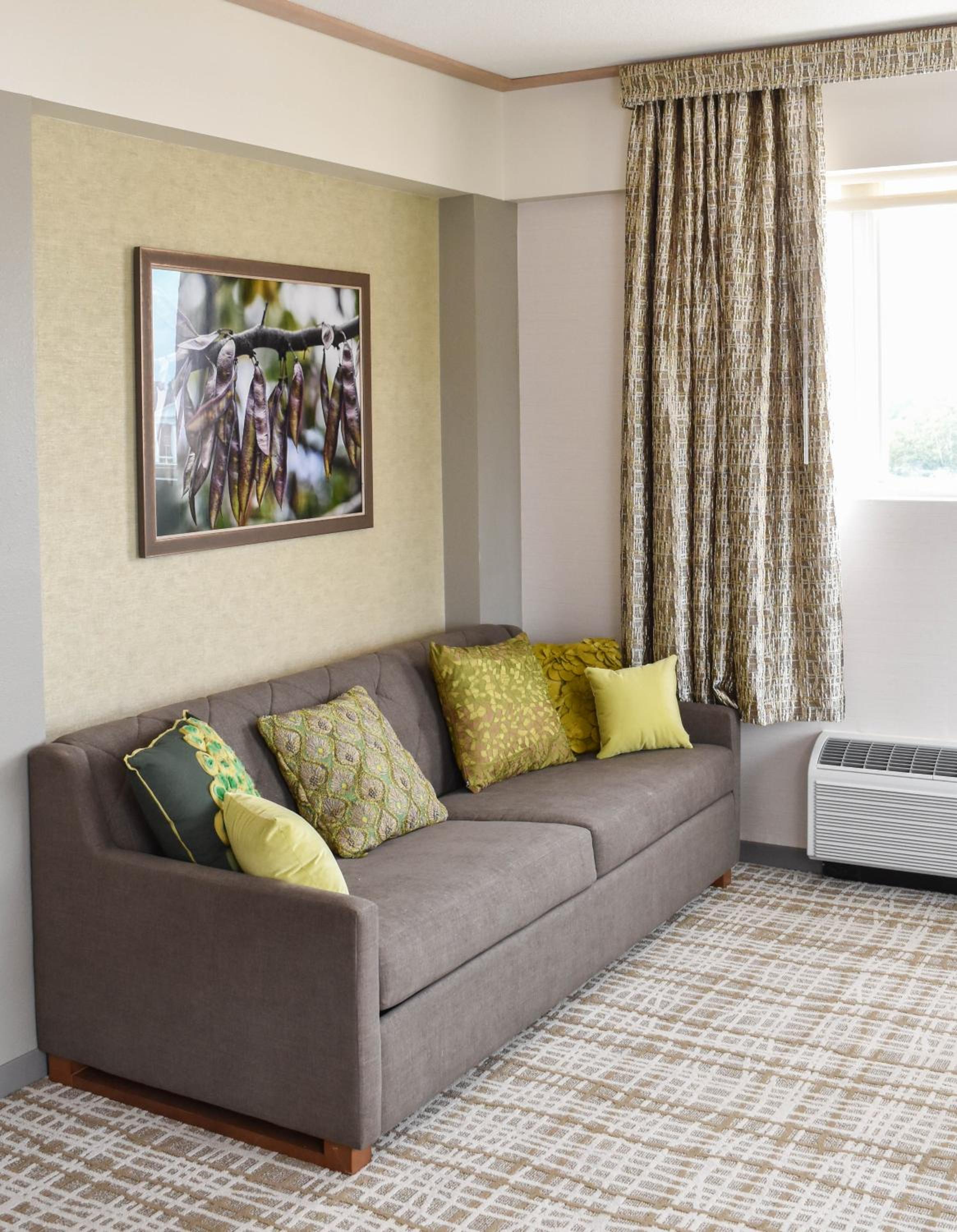 Executive Suite photo 2