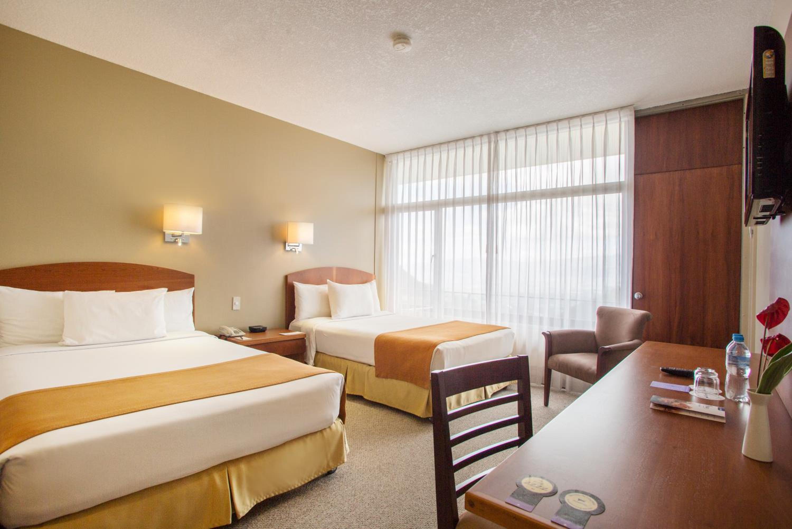 Executive Twin Room photo 2