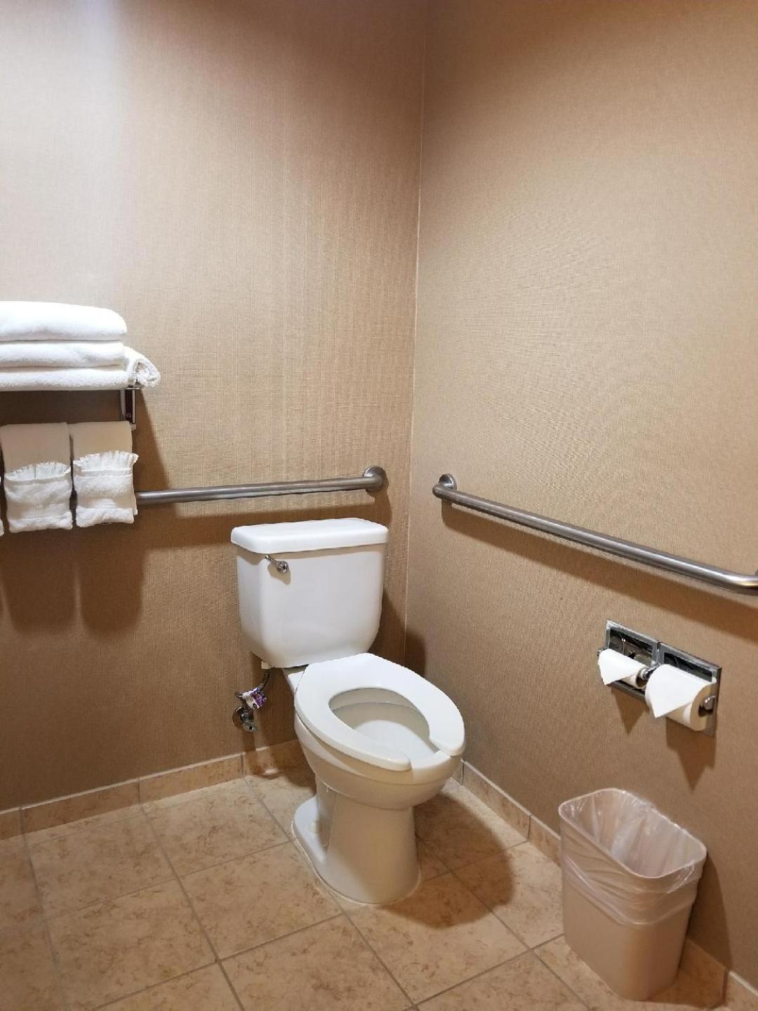 King Suite - Disability Access/Non-Smoking - Photo 4