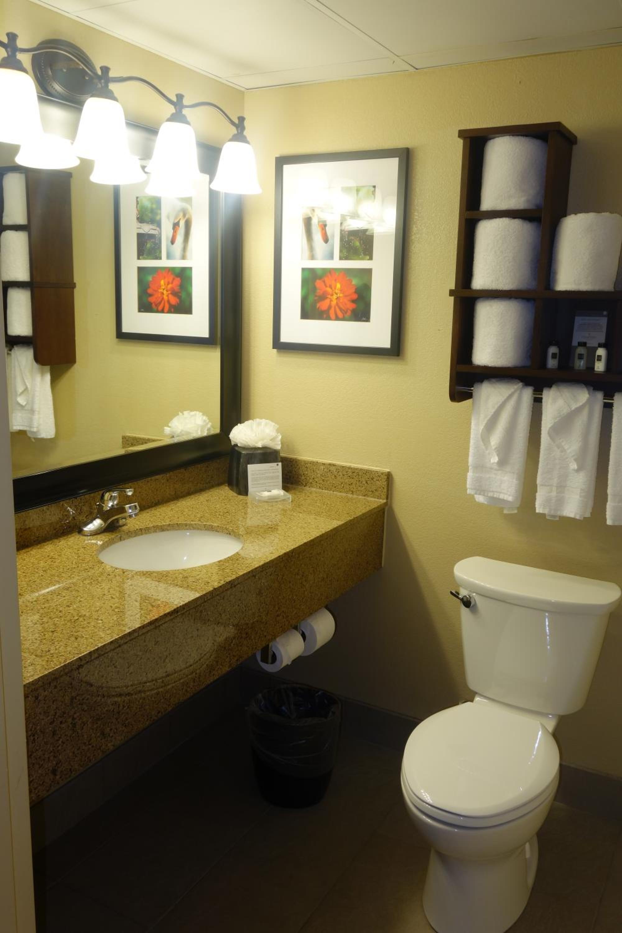 One-Bedroom King Suite - Non-Smoking - Photo 5