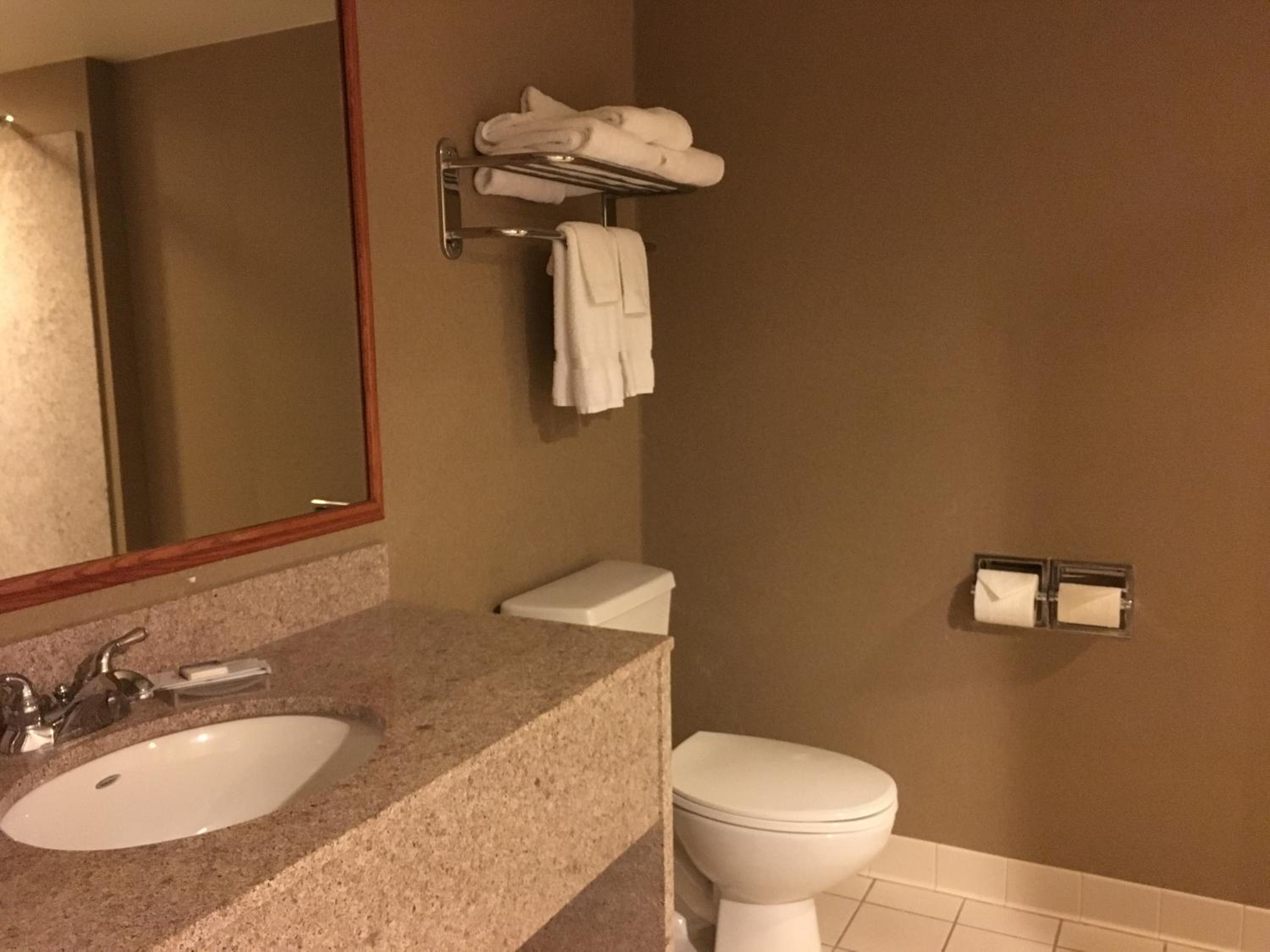 One-Bedroom King Suite - Non-Smoking - Photo 11