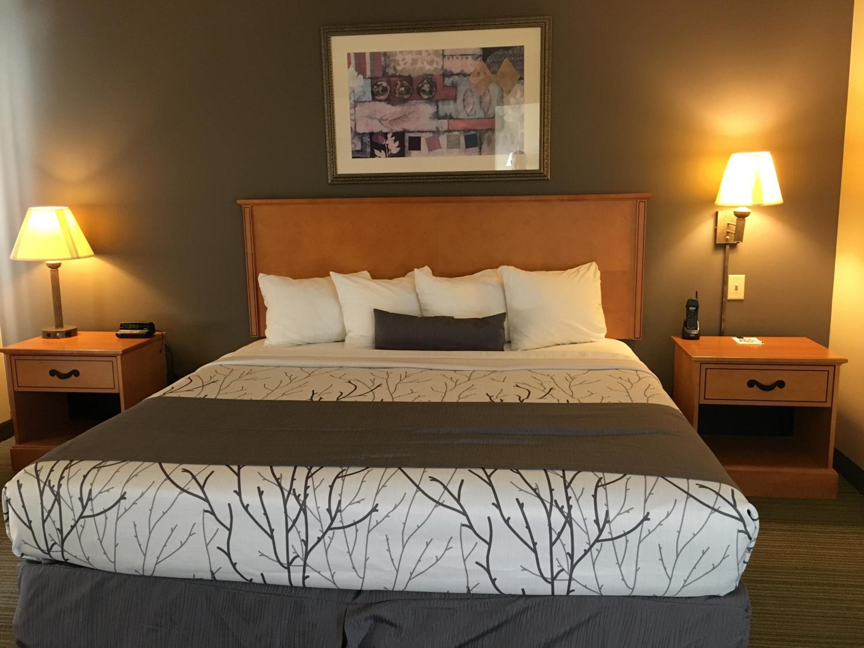 King Room - Photo 4