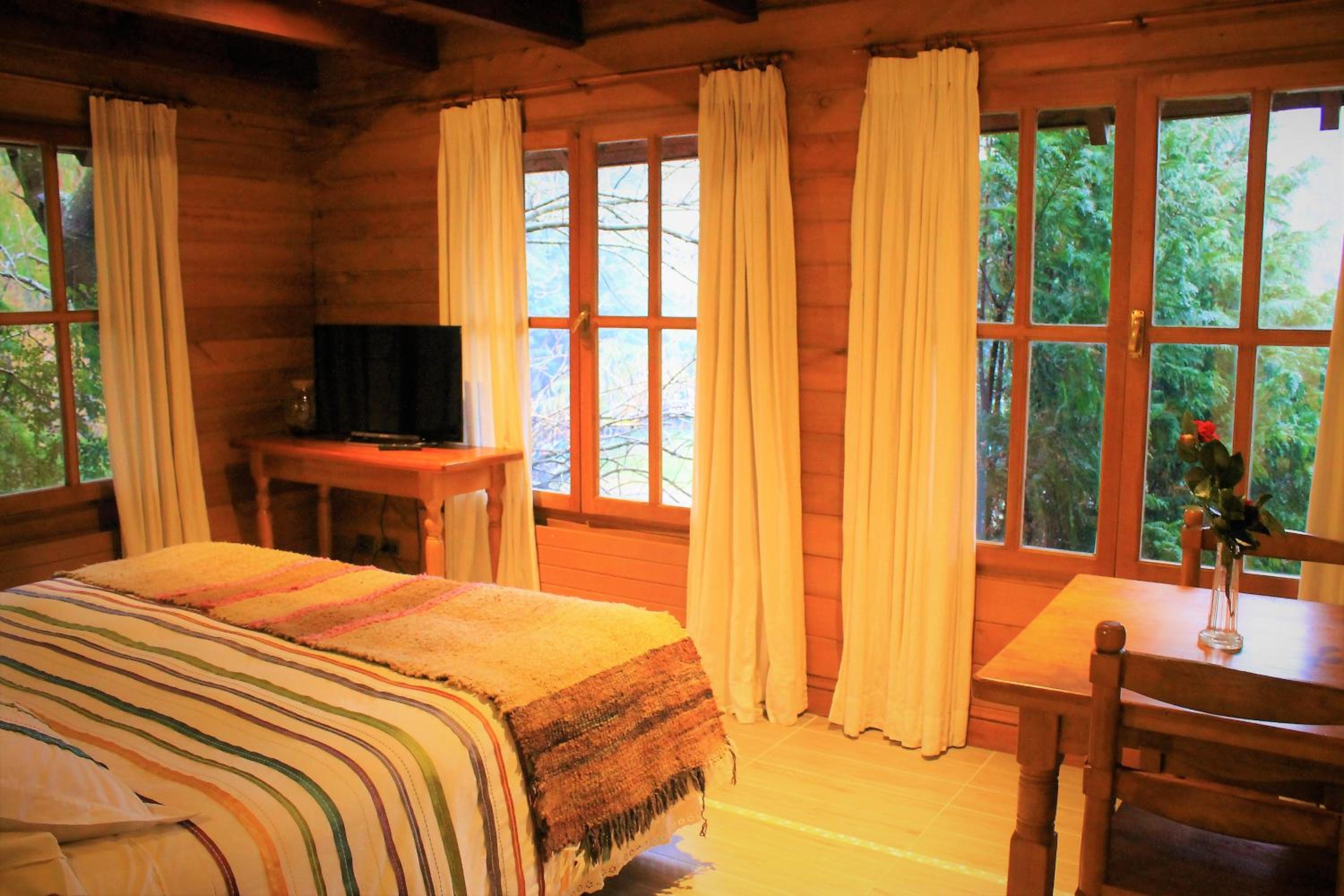Triple Room 3-single beds photo 1