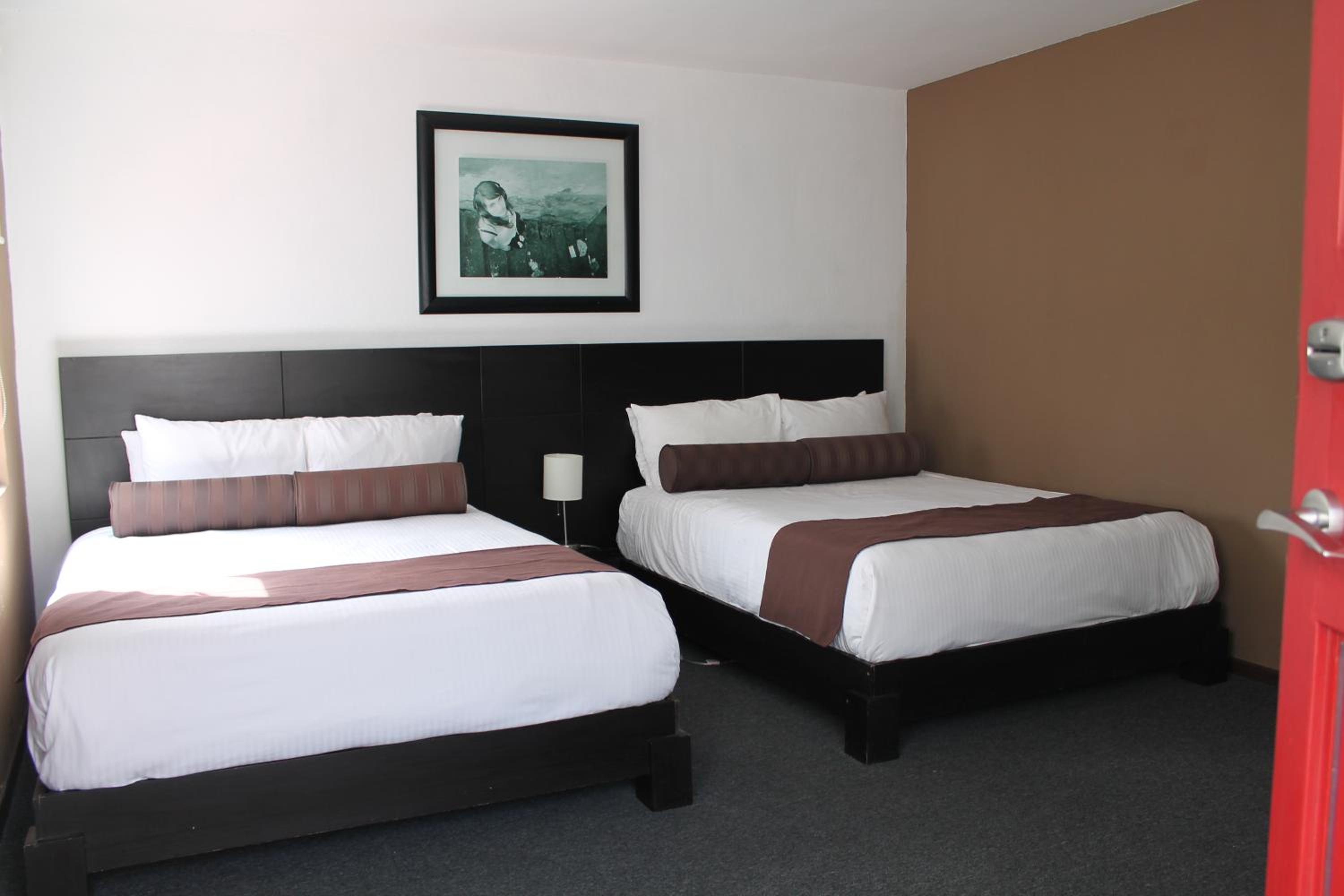 Junior Suite (4 Adults)
