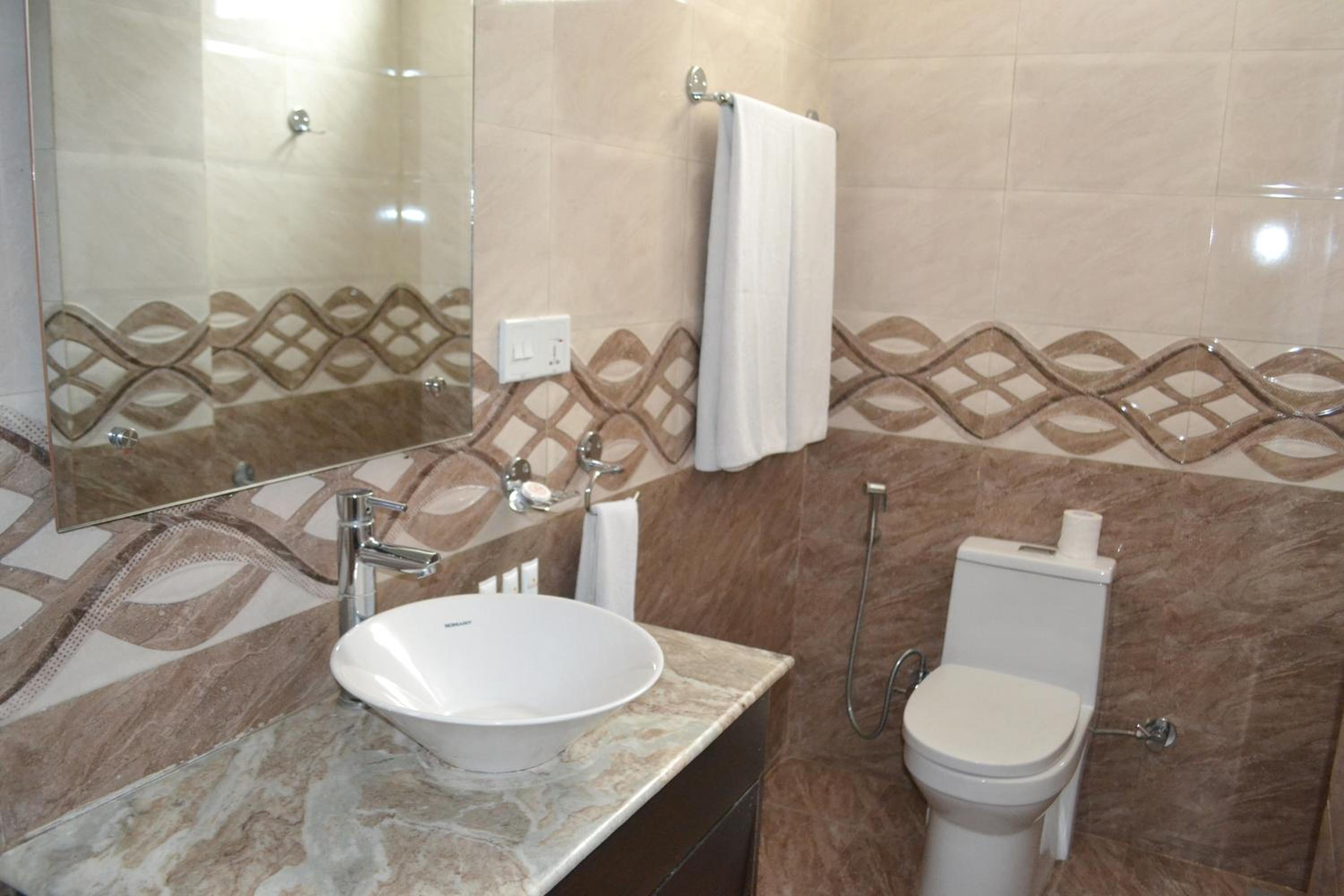 Deluxe Double or Twin Room photo 3