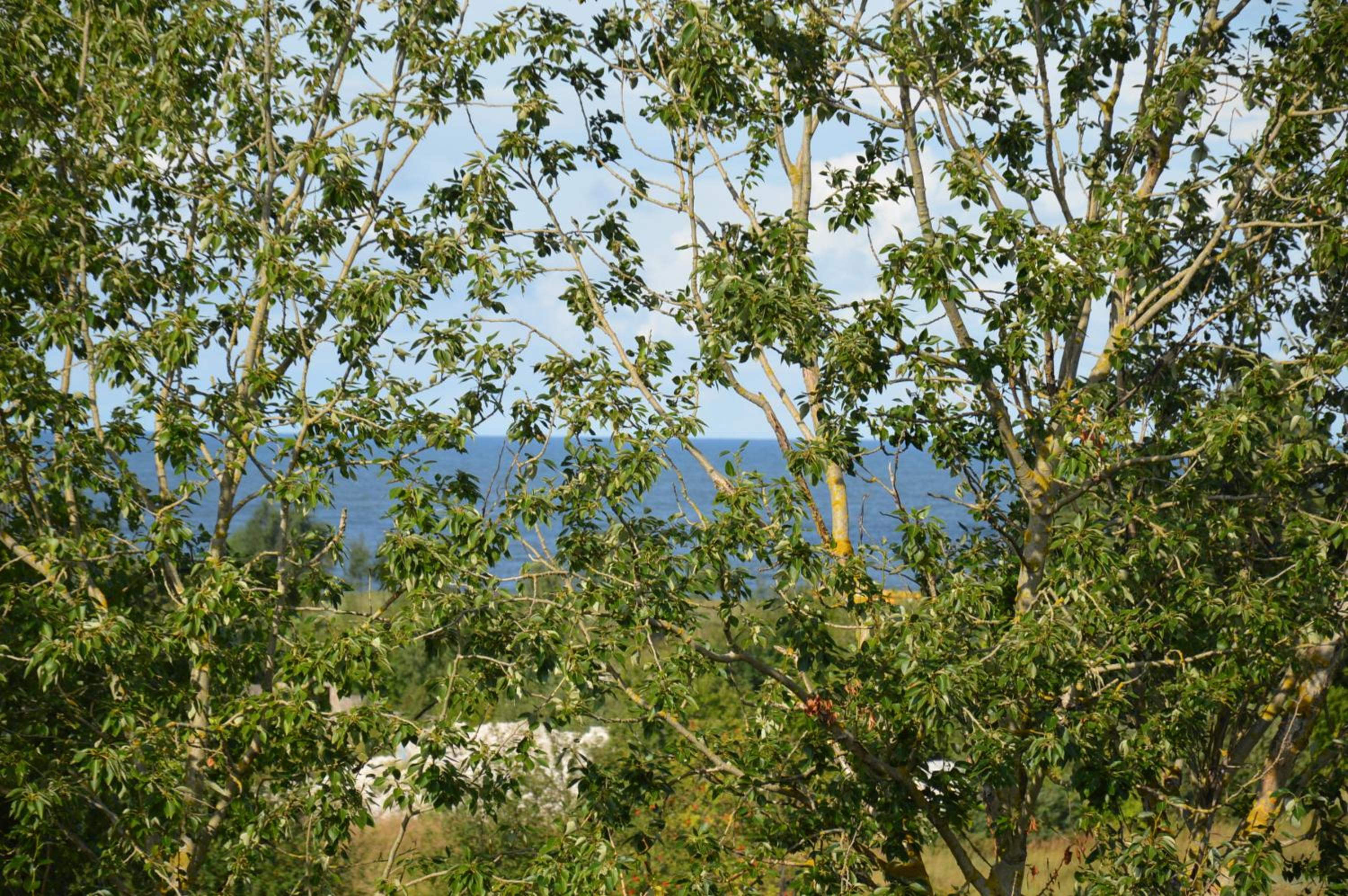 Studio Apartment with Sea View - Photo 7