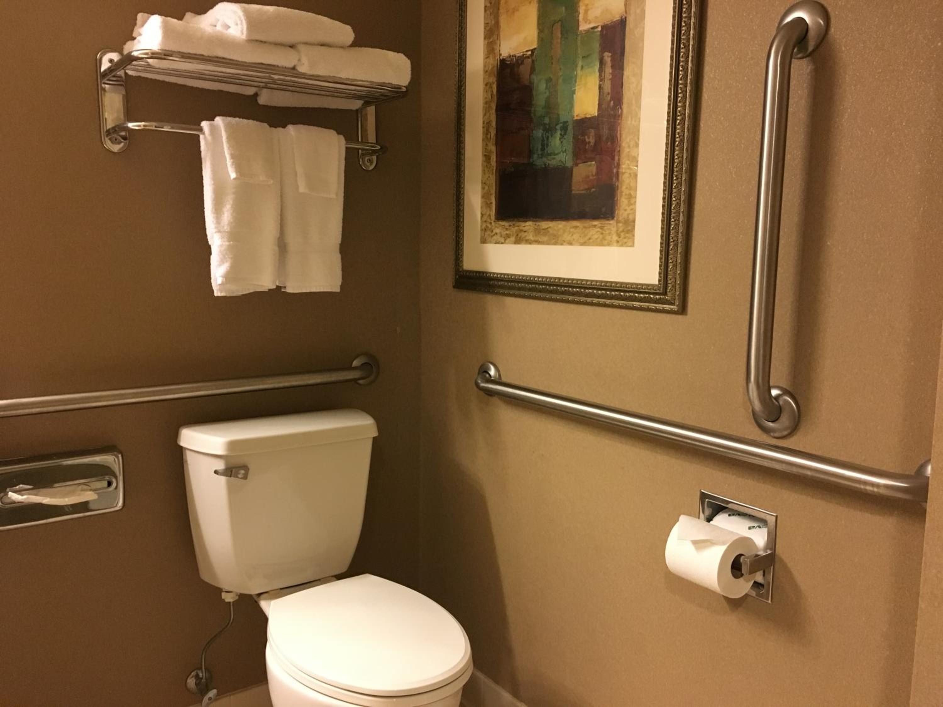 King Room with Roll-In Shower - Mobility Access - Photo 4