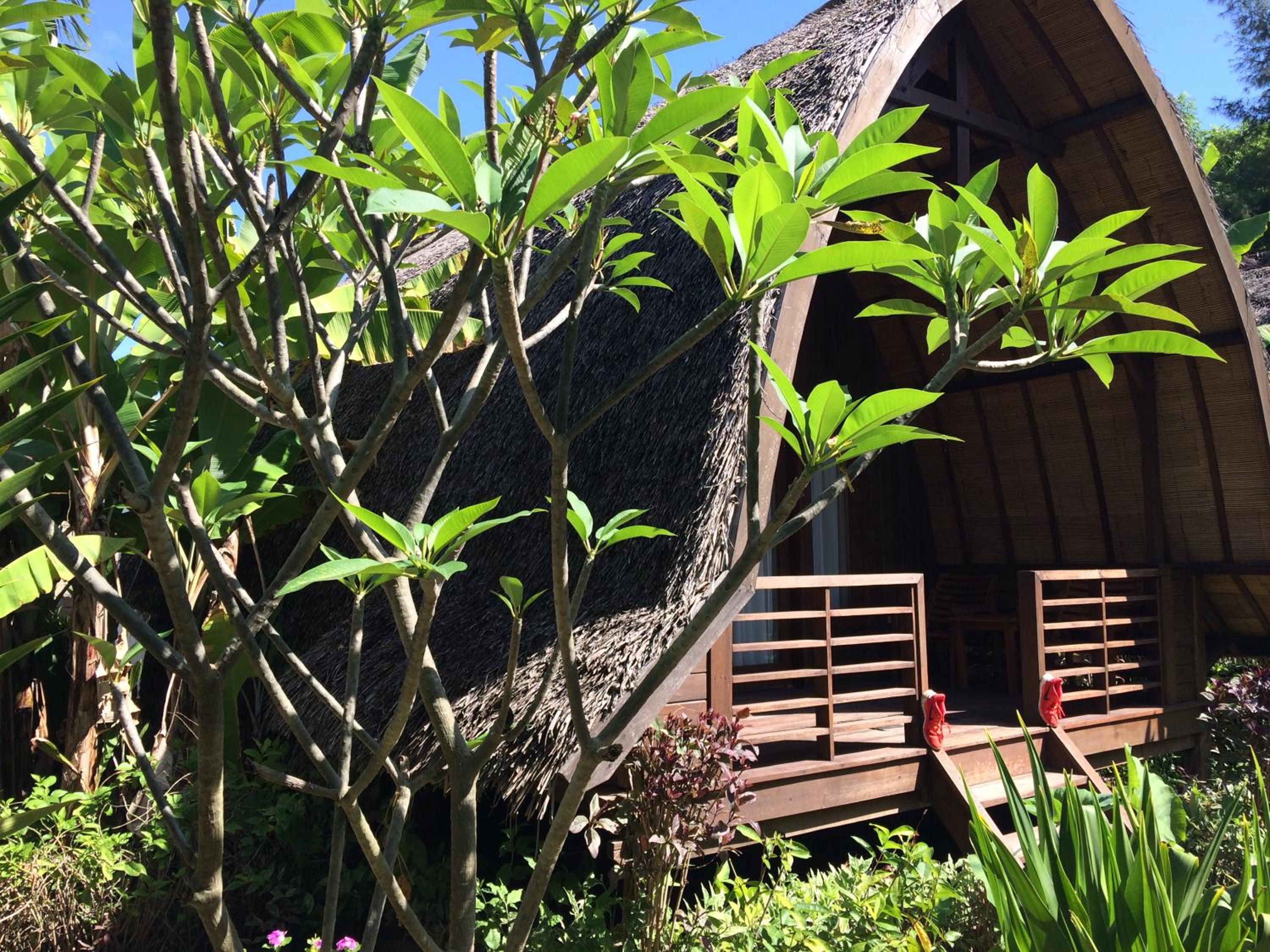 Deluxe Bungalow with Garden View photo 2
