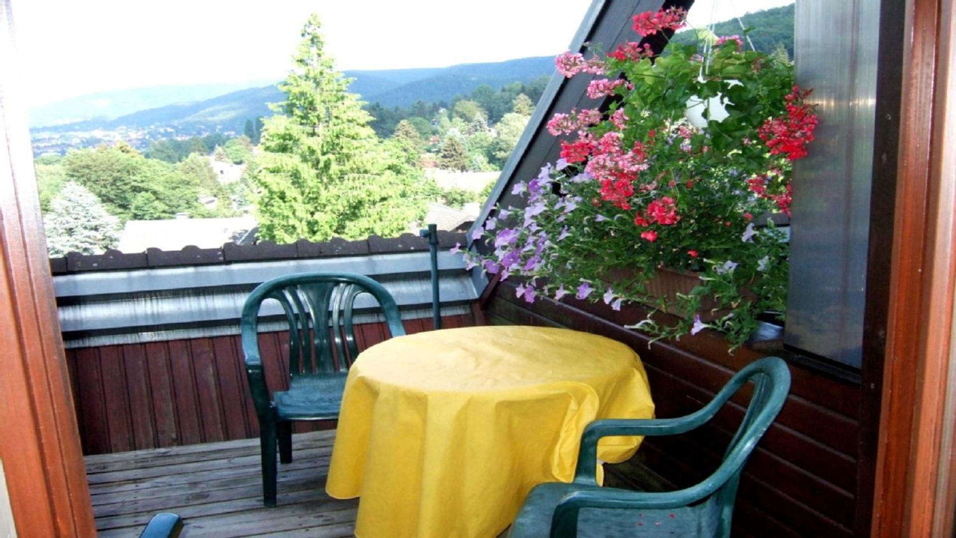 Apartment with Mountain View